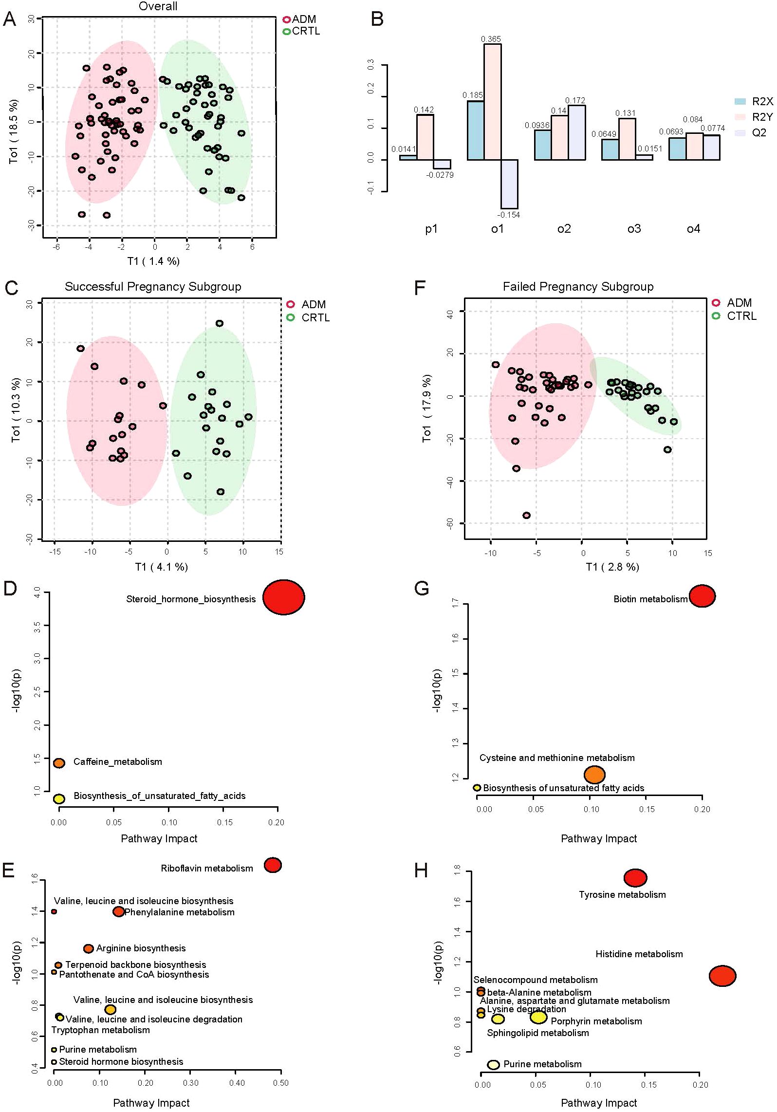 Graph A shows a scatter plot comparing two groups, ADM and CRTL, with ellipses indicating data distribution. Graph B is a bar chart presenting R2X, R2Y, and Q2 metrics across different components. Graph C is a scatter plot of successful pregnancy subgroup data, and Graph F depicts failed pregnancy subgroup data, both comparing ADM and CRTL groups with ellipses. Graph D shows a bubble plot with steroid hormone biosynthesis as a prominent pathway. Graph E highlights riboflavin metabolism. Graph G features biotin metabolism, and Graph H displays tyrosine metabolism as significant pathways.