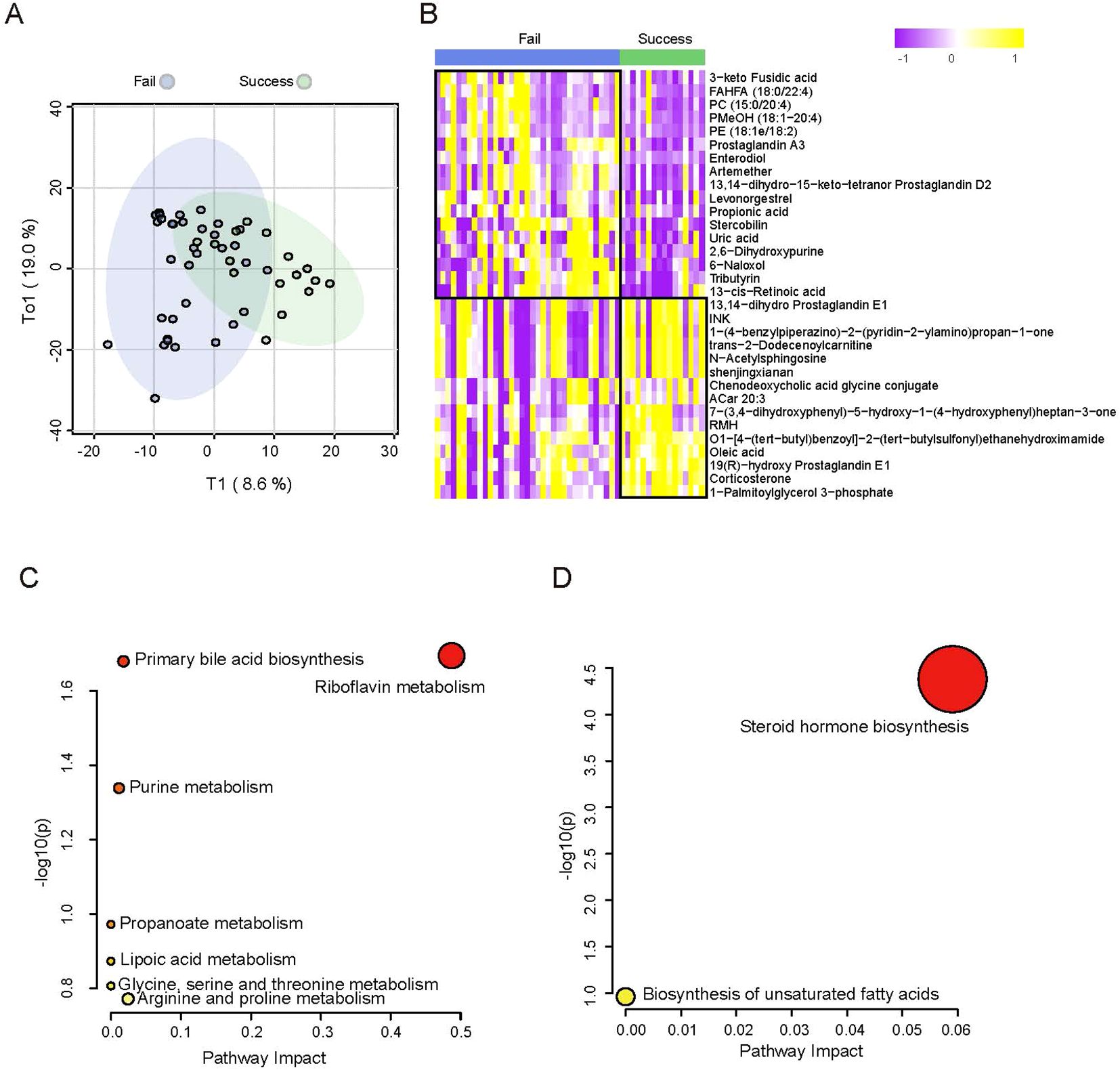 Chart A is a scatter plot with two clusters representing “Fail” and “Success” categories. Chart B is a heatmap showing metabolite levels with a color range from purple to yellow. Chart C shows a bubble plot indicating pathway impacts, highlighting primary bile acid biosynthesis as significant. Chart D is a similar bubble plot with steroid hormone biosynthesis noted as significant.