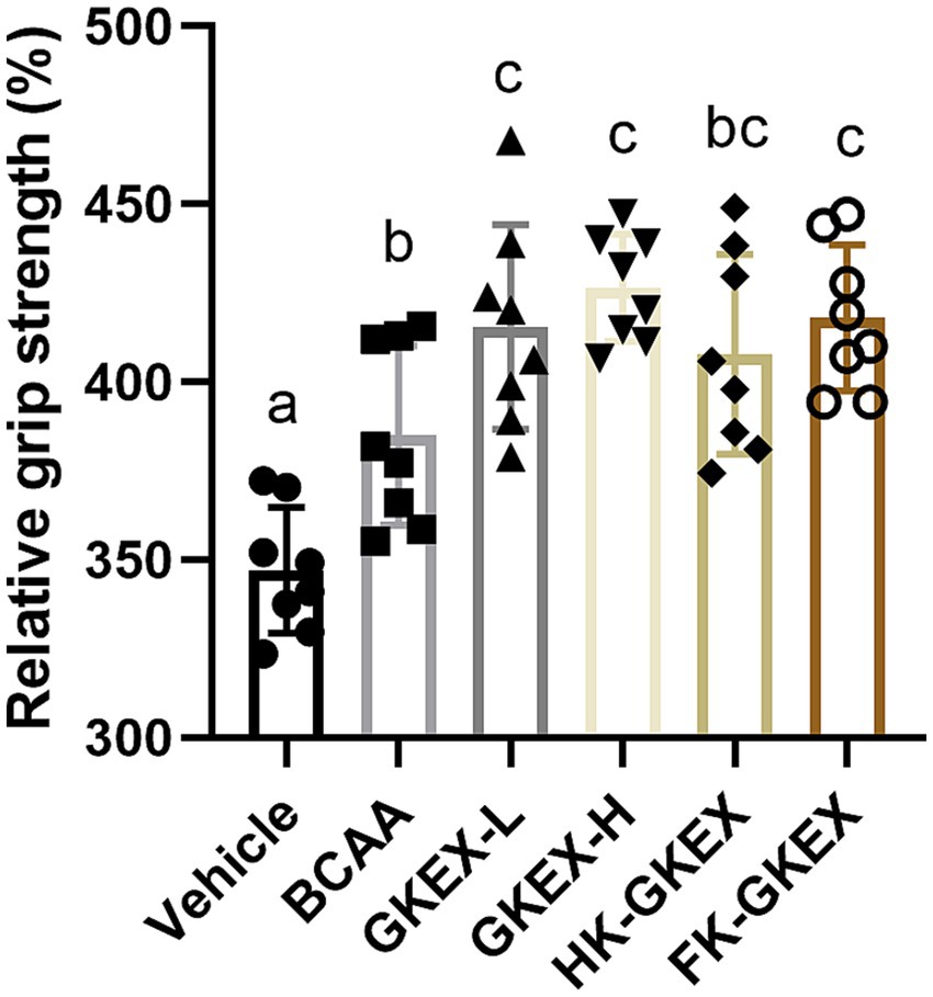 Bar graph showing relative grip strength percentage for different treatments: Vehicle, BCAA, GKEX-L, GKEX-H, HK-GKEX, and FK-GKEX. Data points indicate variability. Treatments GKEX-L, GKEX-H,and FK-GKEX show higher grip strength, marked with ‘c’, compared to ‘a’ for Vehicle and ‘b’ for BCAA.