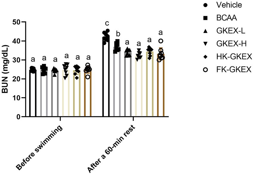 Bar graph comparing blood urea nitrogen (BUN) levels in milligrams per deciliter before swimming and after a sixty-minute rest across various groups: Vehicle, BCAA, GKEX-L, GKEX-H, HK-GKEX, FK-GKEX. Each group shows consistent BUN levels before swimming, with significant increases after resting, especially in the Vehicle group. Categories are marked with different symbols indicating group differences.