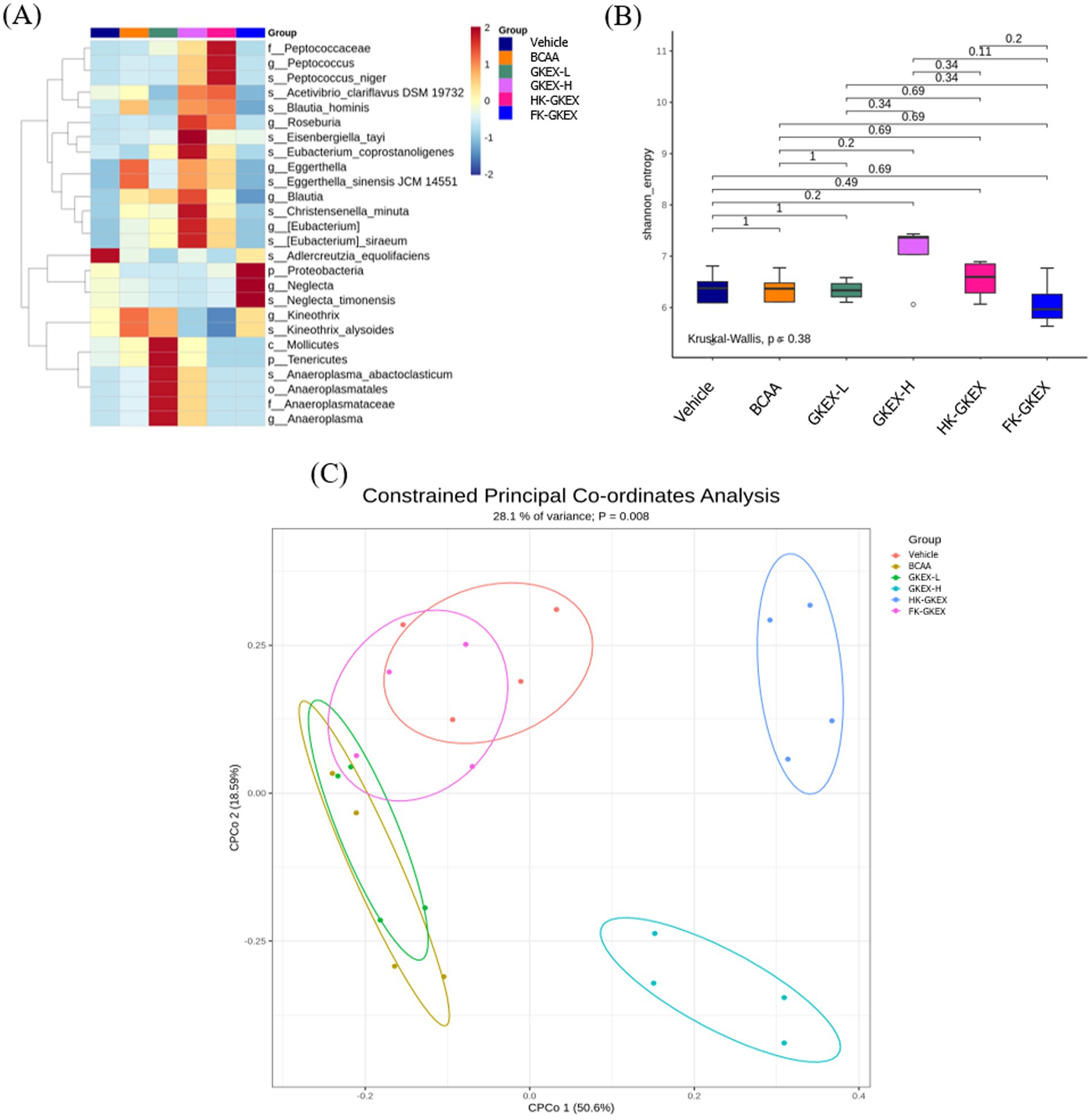 (A) Heatmap shows microbial composition across different groups with color-coded intensity. (B) Box plot compares ‘shannon_entropy’ across groups, indicating statistical analysis by Kruskal-Wallis test. (C) Constrained Principal Coordinates Analysis (CPCoA) plot depicts microbial community distribution with ellipses representing group variance. Groups are distinguished by color: Vehicle, BCAA, GKKX-L, GKKX-H, HK-GKKX, and FK-GKKX.