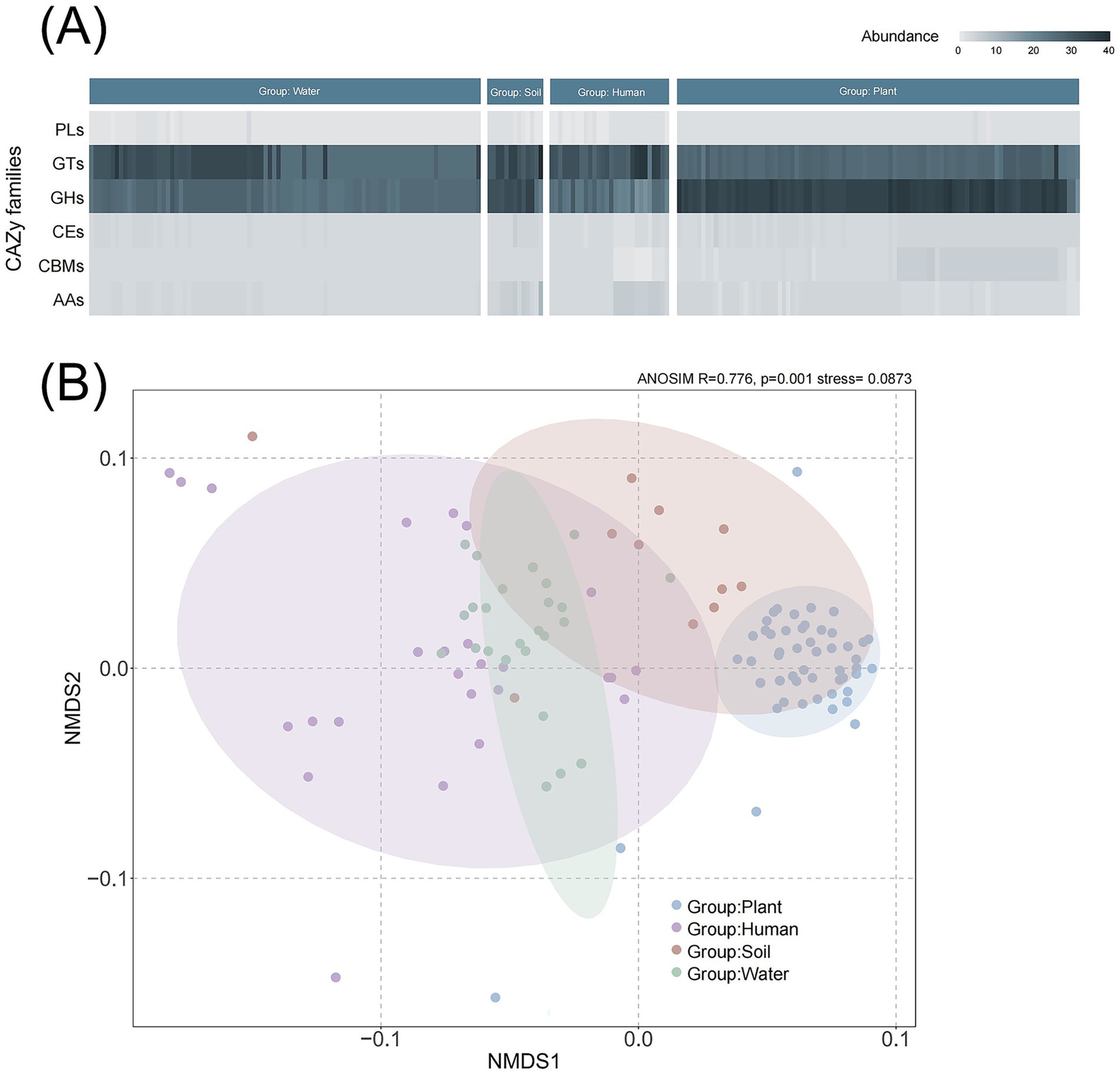 Panel A presents a heatmap showing the abundance of CAZy families across different groups: Water, Soil, Human, and Plant. Darker shades indicate higher abundance. Panel B displays a scatter plot with NMDS analysis, where points represent samples from different groups within colored clusters: Plant (purple), Human (red), Soil (green), and Water (blue). The analysis includes ANOSIM R-value and p-value annotations.