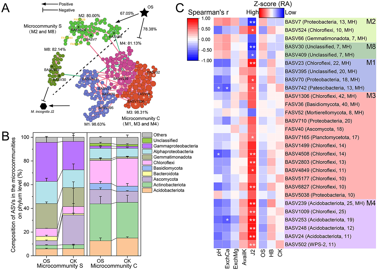 Complex illustration showing microbial community structures and phylum composition. Panel A displays network graphs of microcommunities with color-coded clusters and connections. Panel B presents stacked bar charts illustrating composition of ASVs at the phylum level in two microcommunities. Panel C features a heatmap with relative abundance (Z-scores) and Spearman correlations for various ASVs across conditions.