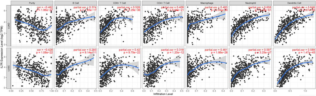 Scatter plots show the relationship between IL7R expression levels (log2 TPM) and infiltration levels for various immune cell types in LUAD and LUSC cancer types. The plots show correlations or partial correlations with p-values marked in red. Each subplot features a blue trend line with a shaded confidence interval, indicating specific correlations for Purity, B Cell, CD8+ T Cell, CD4+ T Cell, Macrophage, Neutrophil, and Dendritic Cell across two rows, each representing different cancer types.