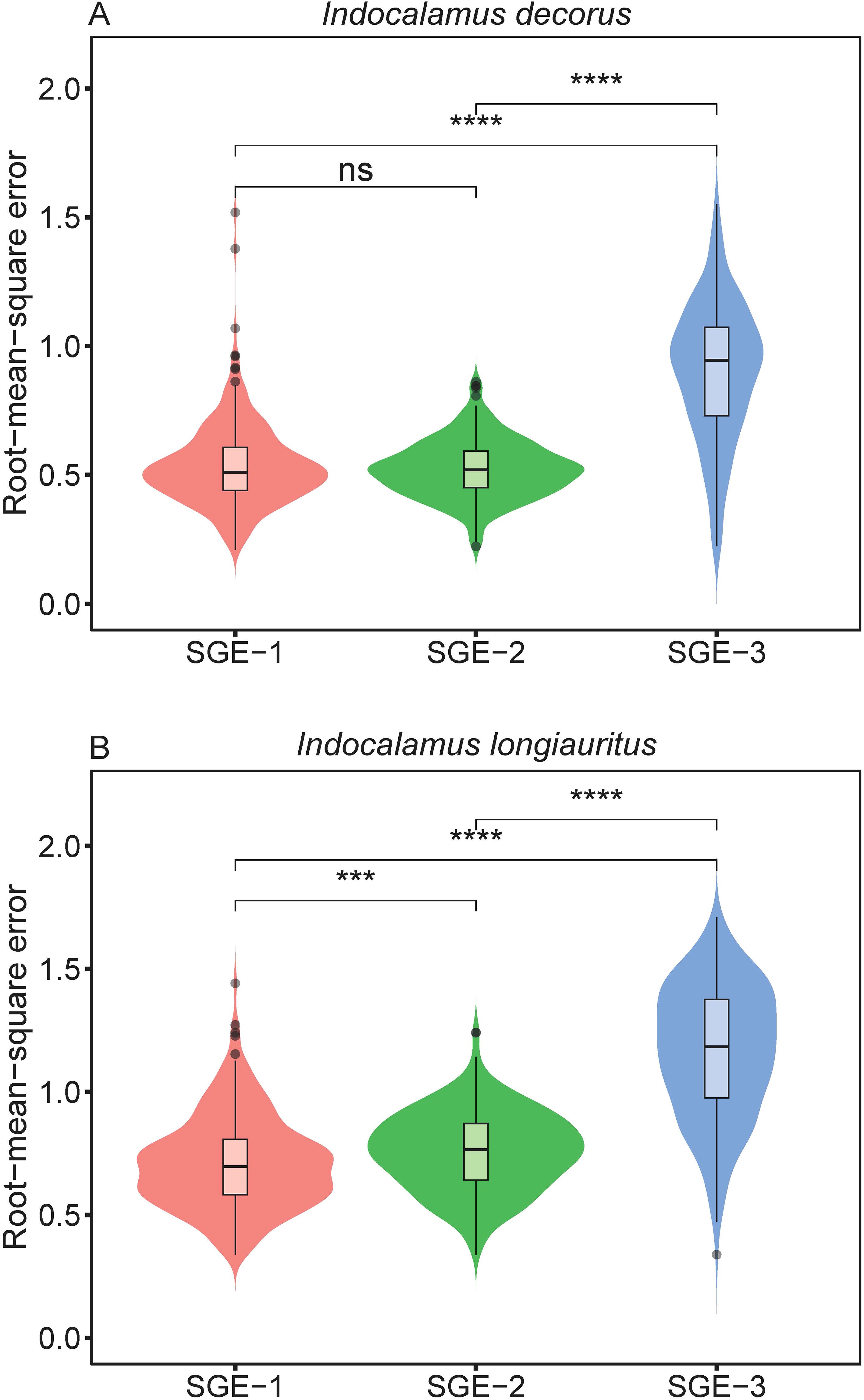 Violin plots comparing root-mean-square error across three groups: SGE-1, SGE-2, and SGE-3 for two species, Indocalamus decorus (top) and Indocalamus longiauritus (bottom). Statistical significance is marked: ns for not significant, *** for p<0.001, and **** for p<0.0001.