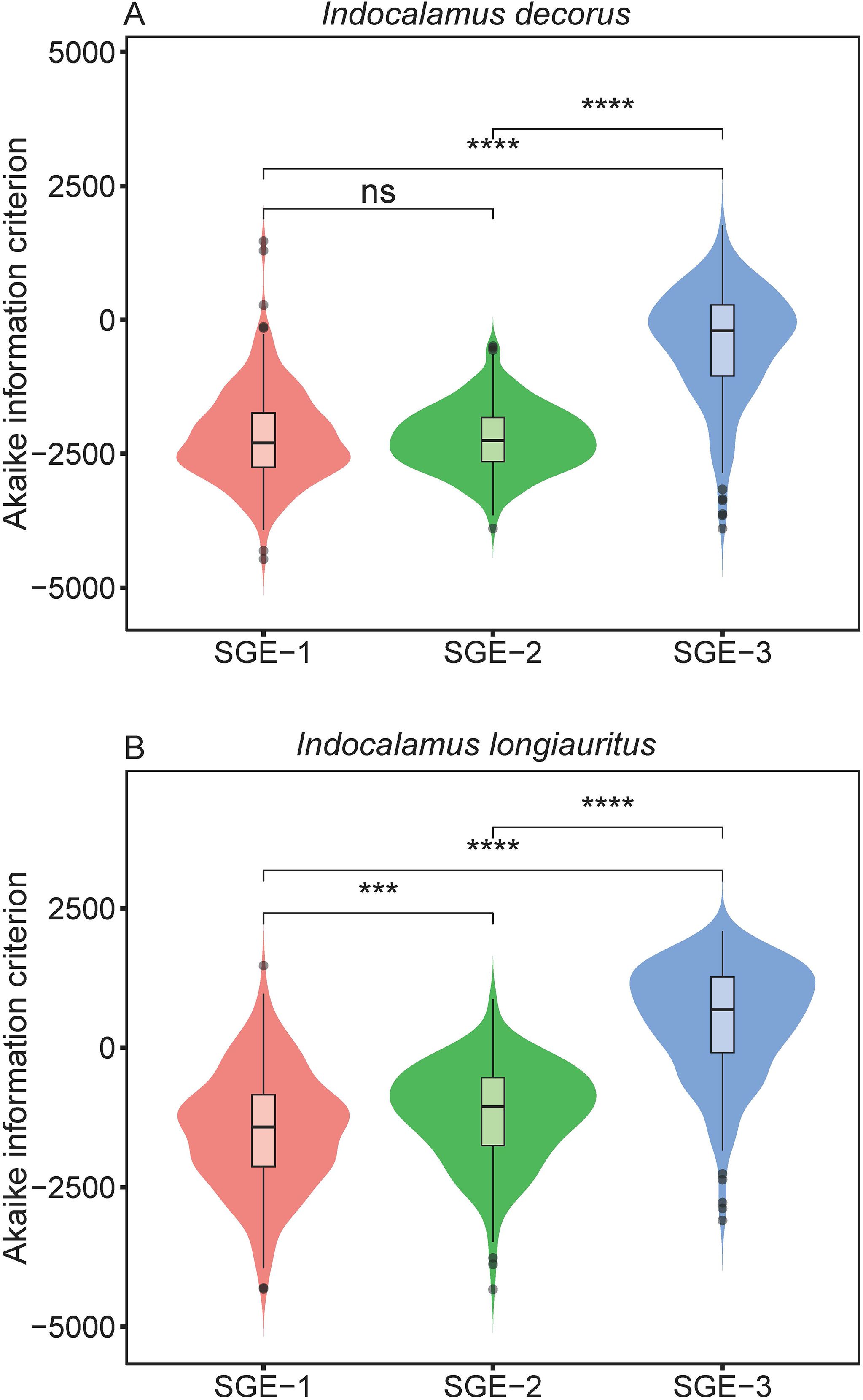 Violin plots illustrate the Akaike information criterion for two species, Indocalamus decorus and Indocalamus longiauritus, across three subgenomic entities (SGE-1, SGE-2, SGE-3). In both plots, SGE-1 and SGE-2 show similar data, while SGE-3 indicates significant differences, marked by asterisks, denoting high statistical variance.