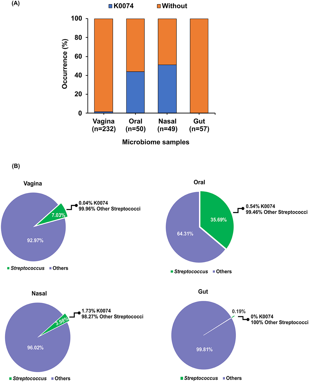 Bar and pie charts comparing the occurrence of K0074 and other bacteria in microbiome samples. The bar chart (A) displays the percentage of samples containing K0074 across vaginal, oral, nasal, and gut samples. The pie charts (B) provide detailed composition for each sample type, showing the percentage of Streptococcus (green) and others (purple). Key findings include the highest K0074 occurrence in nasal samples, while gut samples contain none. Percentage values are labeled for clarity.