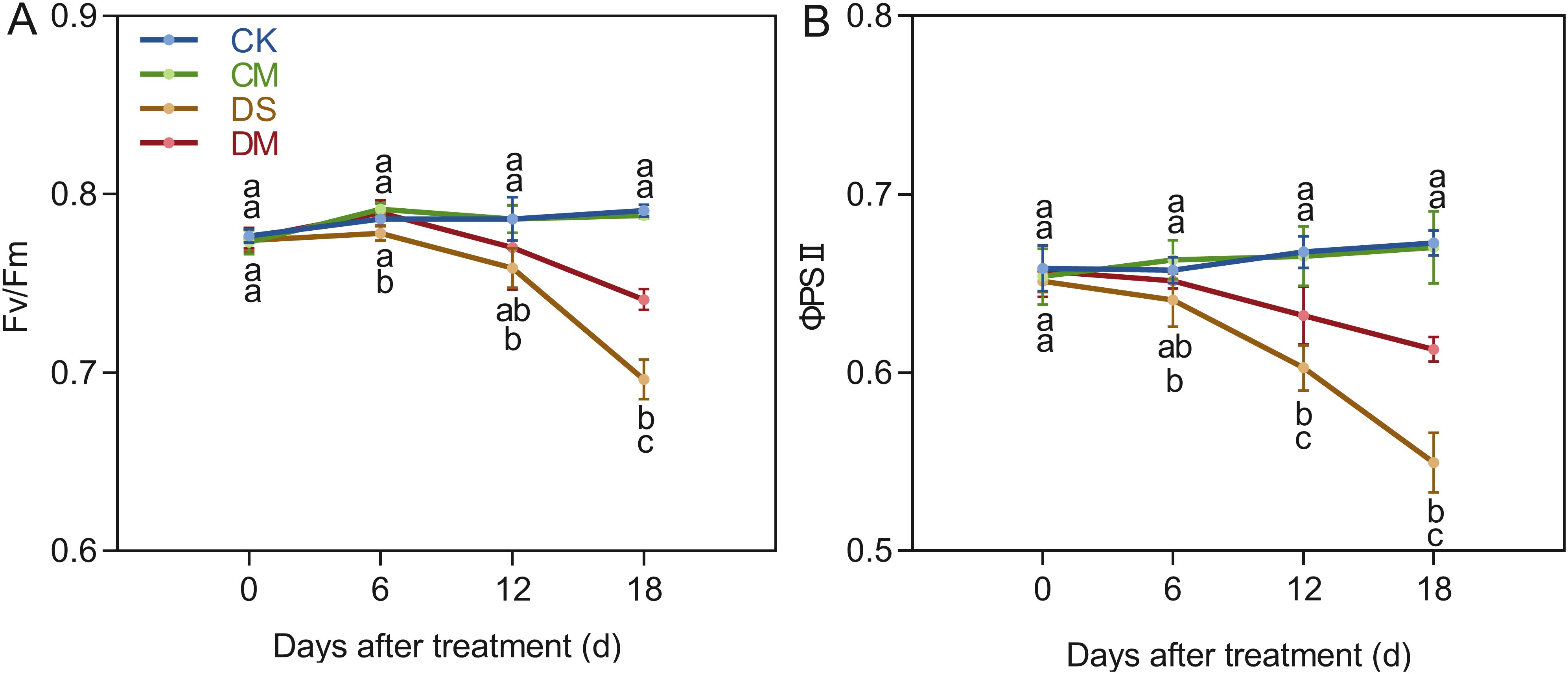 Line graphs labeled A and B show the effects of four treatments (CK, CM, DS, DM) over time on plant physiological parameters, Fv/Fm and ΦPS II, respectively. CK and CM lines remain stable, whereas DS and DM decrease over eighteen days. Significance levels are indicated by letters.