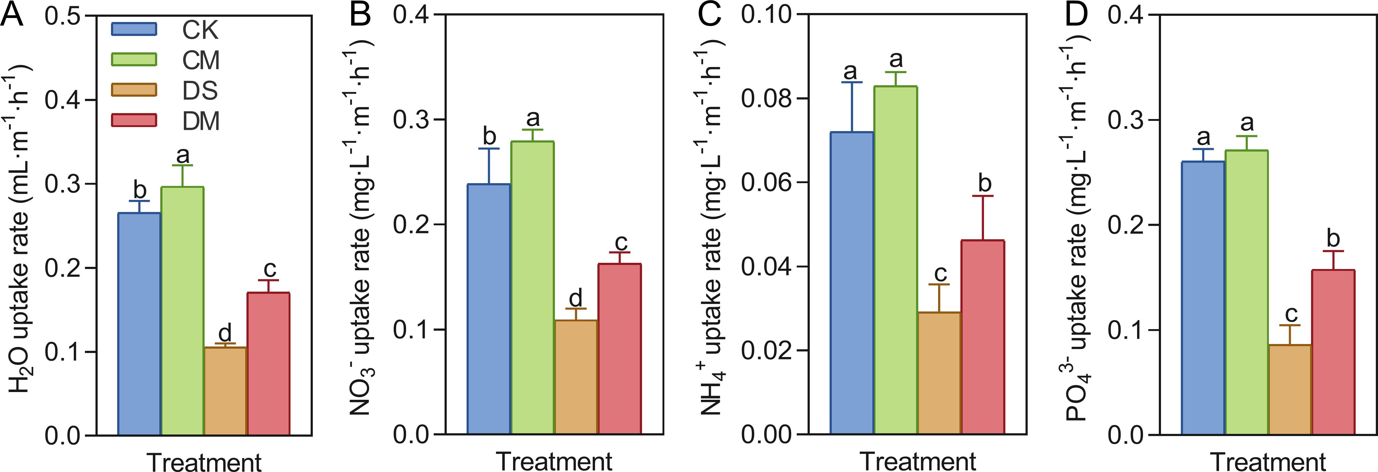 Four bar charts labeled A to D display uptake rates for different treatments: CK, CM, DS, and DM, color-coded as blue, green, orange, and red, respectively. Chart A shows H₂O uptake rates, Chart B shows NO₃⁻ uptake rates, Chart C shows NH₄⁺ uptake rates, and Chart D shows PO₄³⁻ uptake rates. Each chart indicates varied uptake levels with different letters denoting statistical significance among treatments.