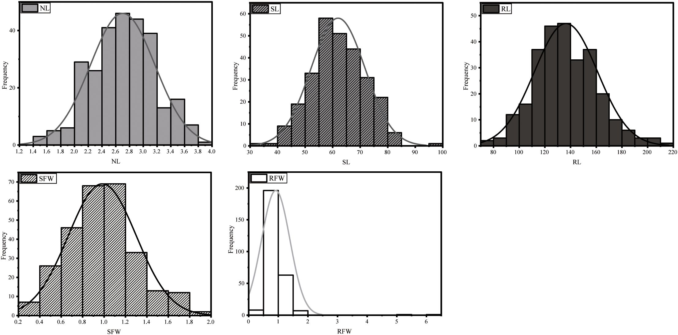 Five histograms show frequency distributions for different parameters: NL, SL, RL, SFW, and RFW. Each graph displays a bell curve overlay, suggesting a normal distribution, except for RFW, which appears skewed. The x-axis represents the parameter value, and the y-axis shows frequency.