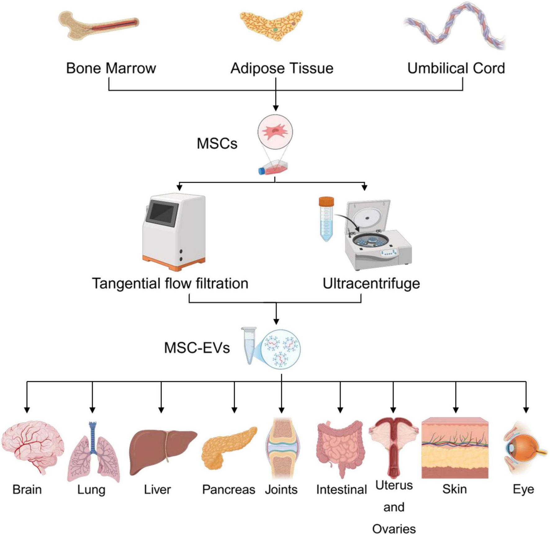 Flowchart of clinical trial selection process. From 187 records searched across three registries, 148 were initially screened. Duplications excluded 39 trials. Another 38 trials were excluded for not meeting inclusion criteria. An additional 24 trials were excluded due to various issues, leaving 90 trials for evaluation. Finally, 66 trials were included in the quantitative analysis.