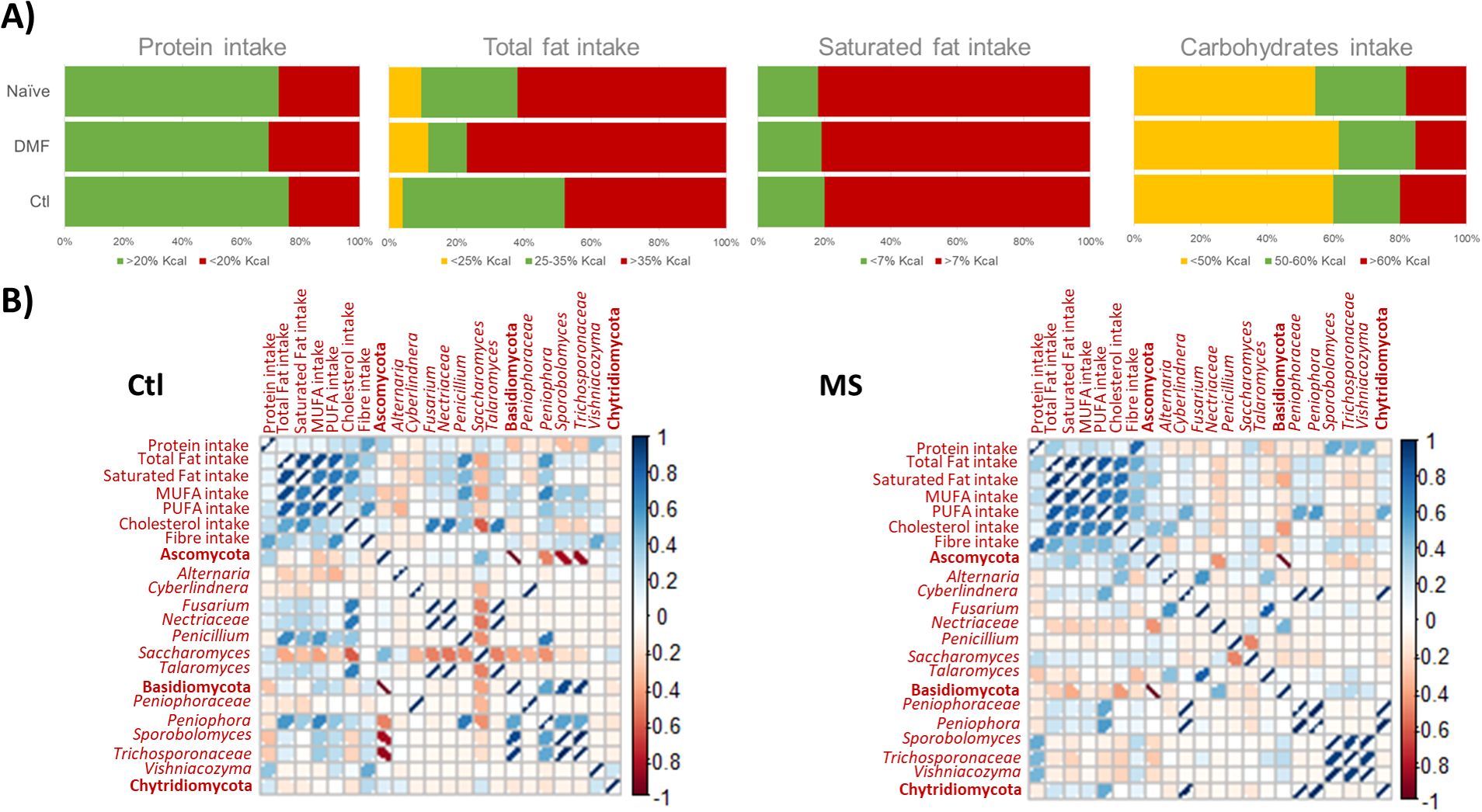 Chart A shows stacked bar graphs illustrating the intake percentages of protein, total fat, saturated fat, and carbohydrates across three groups: Naïve, DMF, and Ctl. Each nutrient is represented by different caloric percentages, with colors indicating specific ranges. Chart B presents two heatmaps, labeled Ctl and MS, displaying correlations between various dietary intakes and microbiota taxa. The heatmaps use a color scale from blue to red, indicating positive to negative correlations.