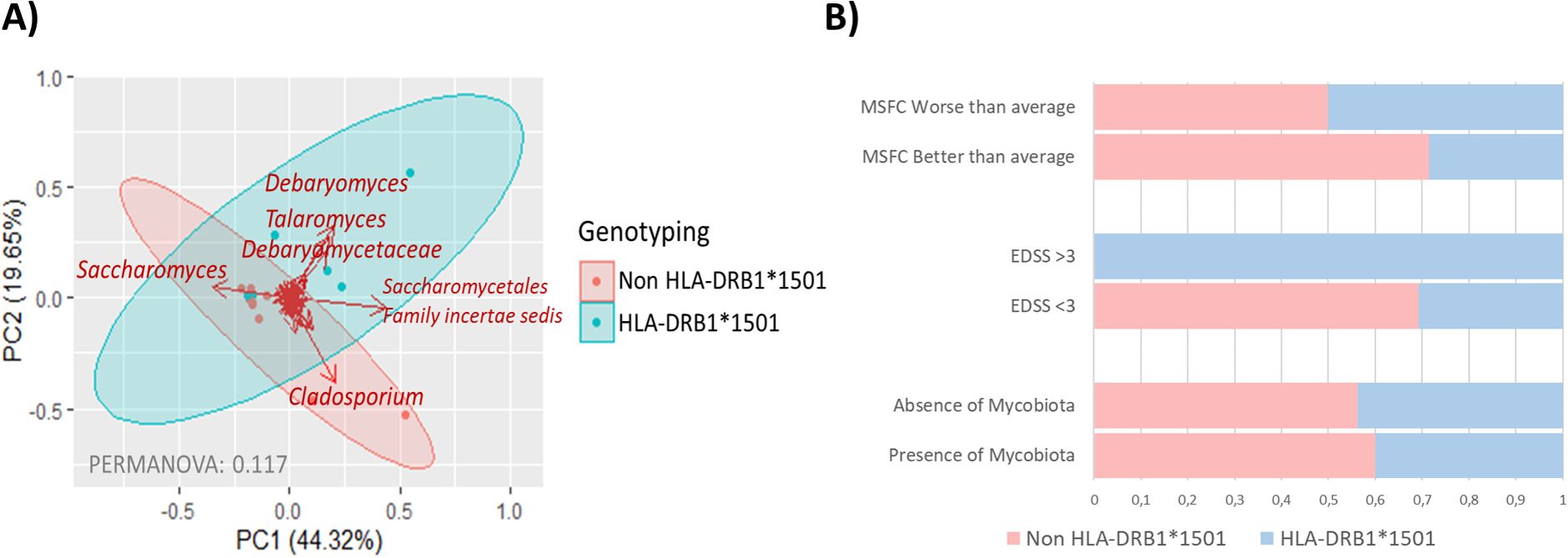 Panel A shows a PCoA plot with PC1 and PC2 axes labeled, indicating clustering of fungal taxa like Saccharomyces, Debaryomyces, Talaromyces, and Cladosporium. Two ellipses distinguish genotypes: HLA-DRB1*1501 and Non HLA-DRB1*1501. Panel B presents horizontal bar charts comparing genotypes across variables: MSFC scores, EDSS scores, and presence or absence of mycobiota, with color-coding for each genotype.