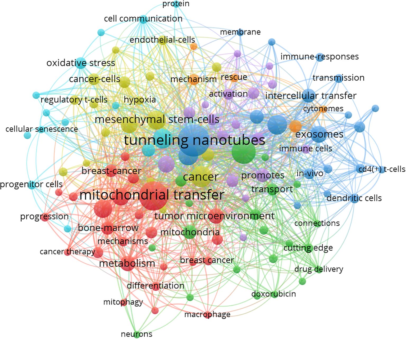 Network diagram illustrating various interconnected terms related to cancer research, including prominent terms like “tunneling nanotubes” and “mitochondrial transfer.” Nodes vary in size and color, indicating different levels of importance and relation. Lines connect terms, showing their interrelationships within the context of cancer cell communication and treatment mechanisms.