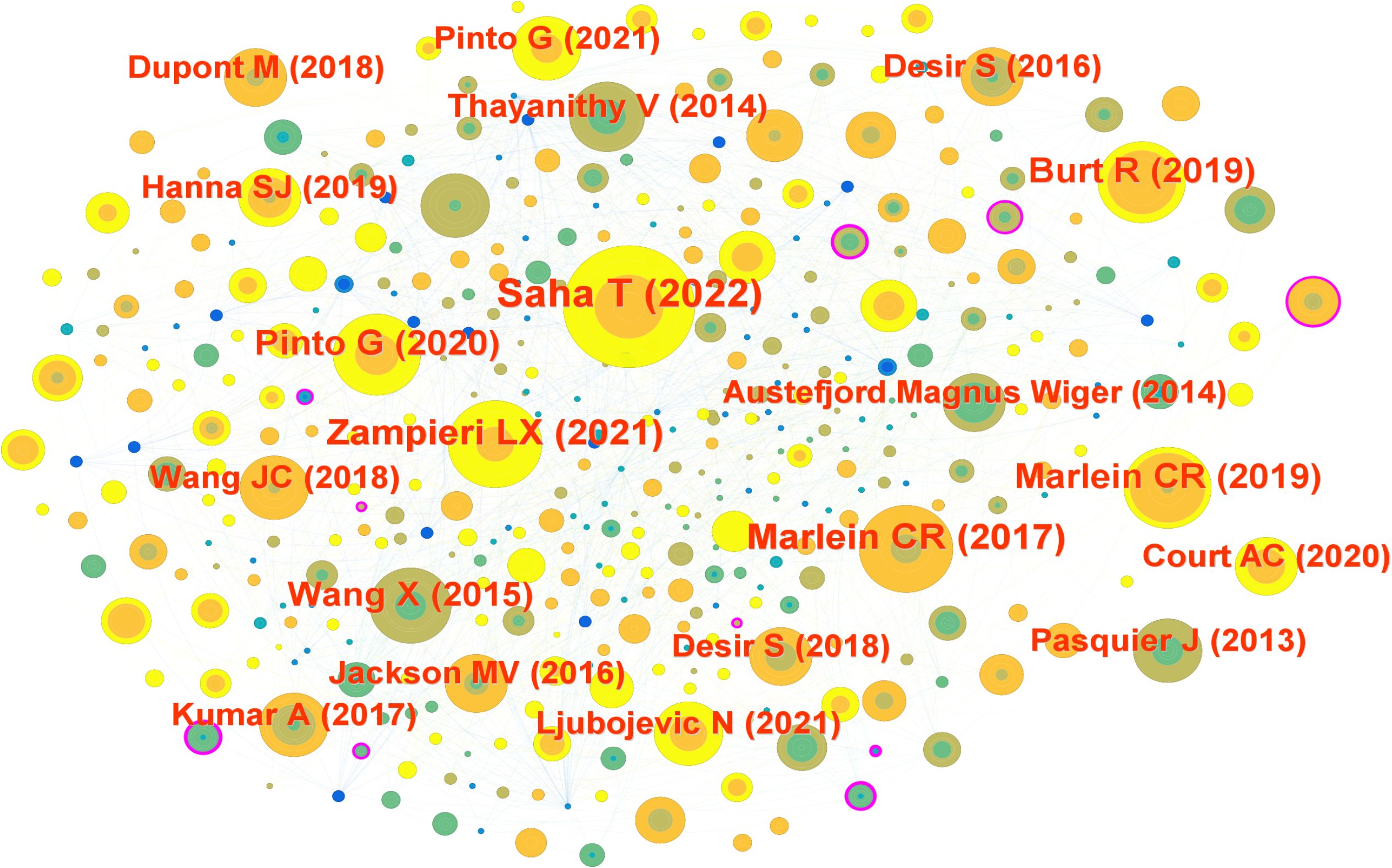 Network diagram showing various nodes in different colors and sizes, connected by lines, representing research collaborations. Prominent nodes include “Saha T (2022)” and “Pinto G” from multiple years. The arrangement illustrates authorship and publication interactions, highlighted by brightly colored labels.