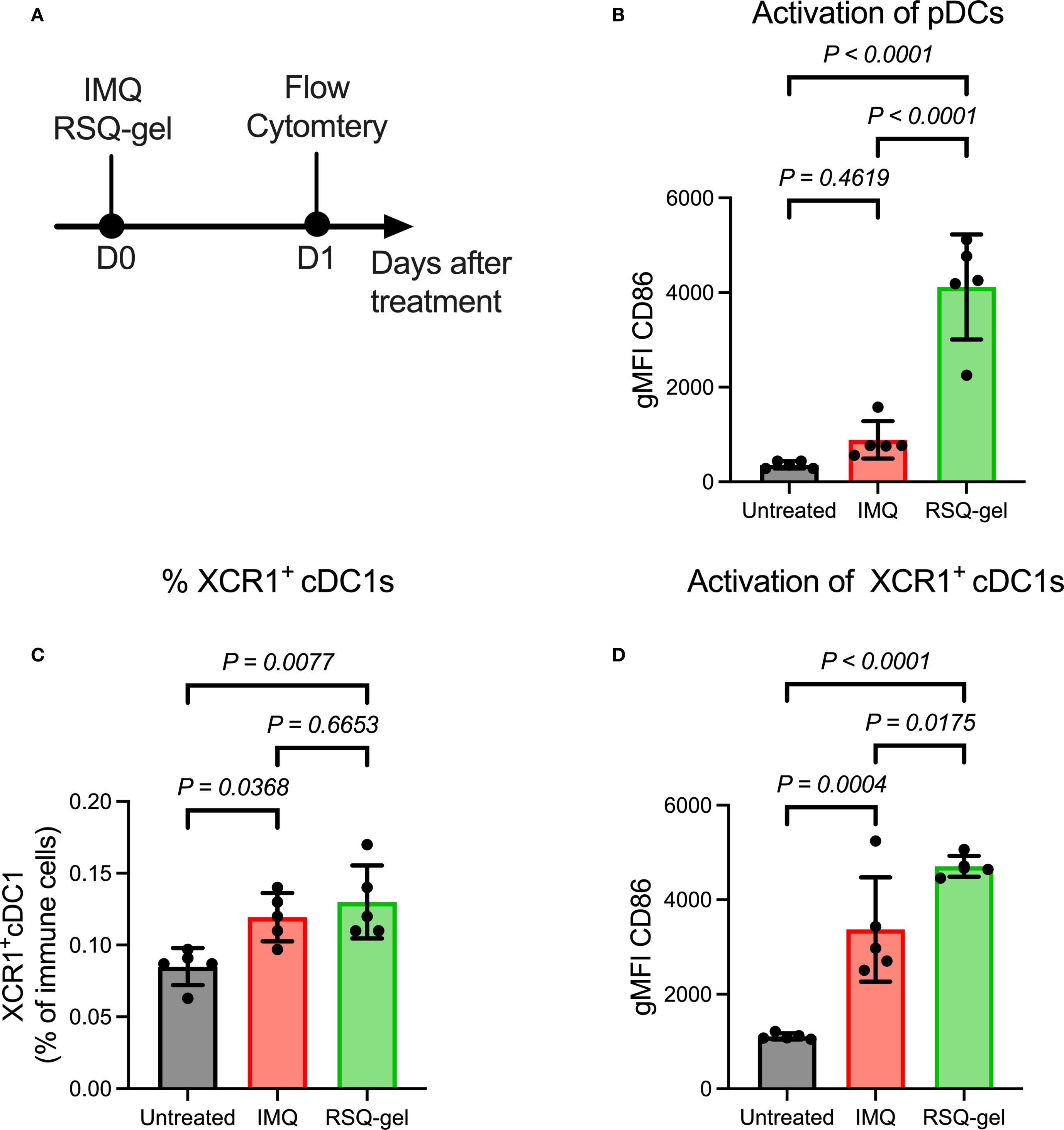 (A) Diagram showing a timeline for treatment and flow cytometry on Day 1 post-treatment. (B) Bar graph of pDC activation measured by gMFI CD86, with RSQ-gel showing significantly higher activation than untreated and IMQ; significance values indicated. (C) Bar graph for percentage of XCR1⁺ cDC1s, with RSQ-gel slightly higher than IMQ and untreated; significance values indicated. (D) Bar graph showing activation of XCR1⁺ cDC1s, RSQ-gel significantly higher than IMQ and untreated; significance values indicated.