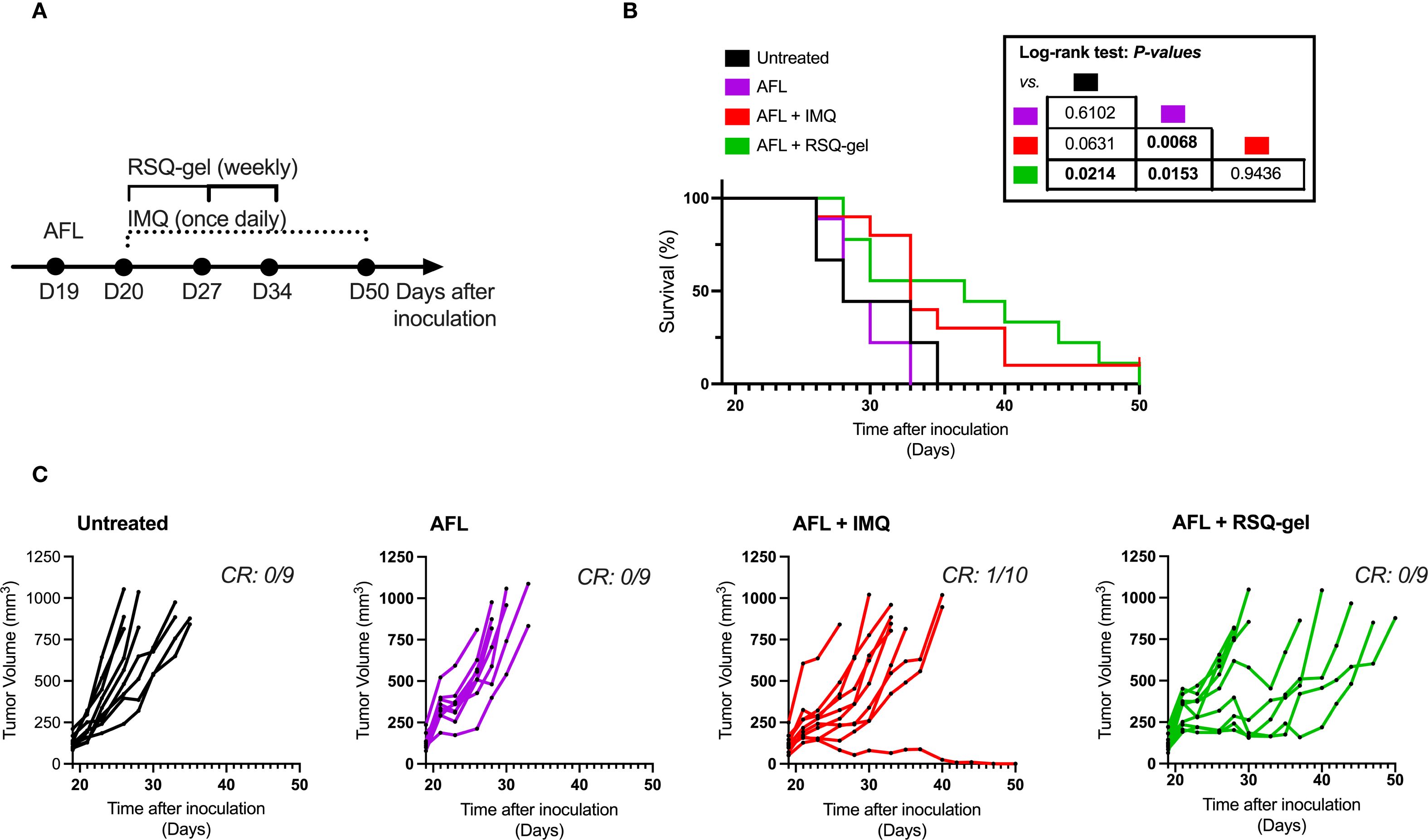 Panel A depicts a treatment timeline for AFL, IMQ, and RSQ-gel over 50 days post-inoculation. Panel B shows a survival curve comparing untreated, AFL, AFL with IMQ, and AFL with RSQ-gel, with survival percentages over time. Panel C presents line graphs assessing tumor volume over the same period for each treatment group, noting complete response (CR) rates. Untreated and AFL have zero responses, AFL with IMQ shows one complete response, and AFL with RSQ-gel has none.