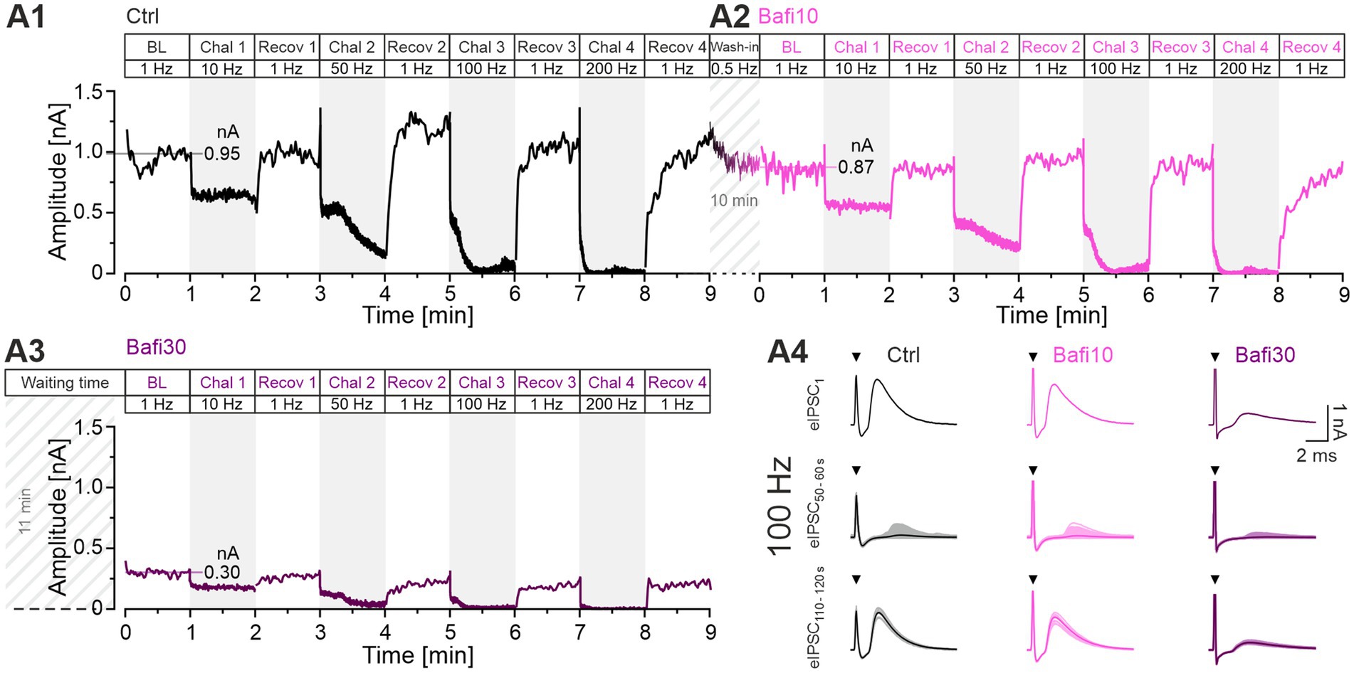Graphs depict synaptic activity under different conditions. Panels A1 to A3 show amplitude changes in nA over time during baseline, challenge, and recovery phases at various frequencies for Ctrl, Bafi10, and Bafi30. A4 compares Ctrl, Bafi10, and Bafi30 elicited postsynaptic currents at 100 Hz, illustrating peak responses in different colors.