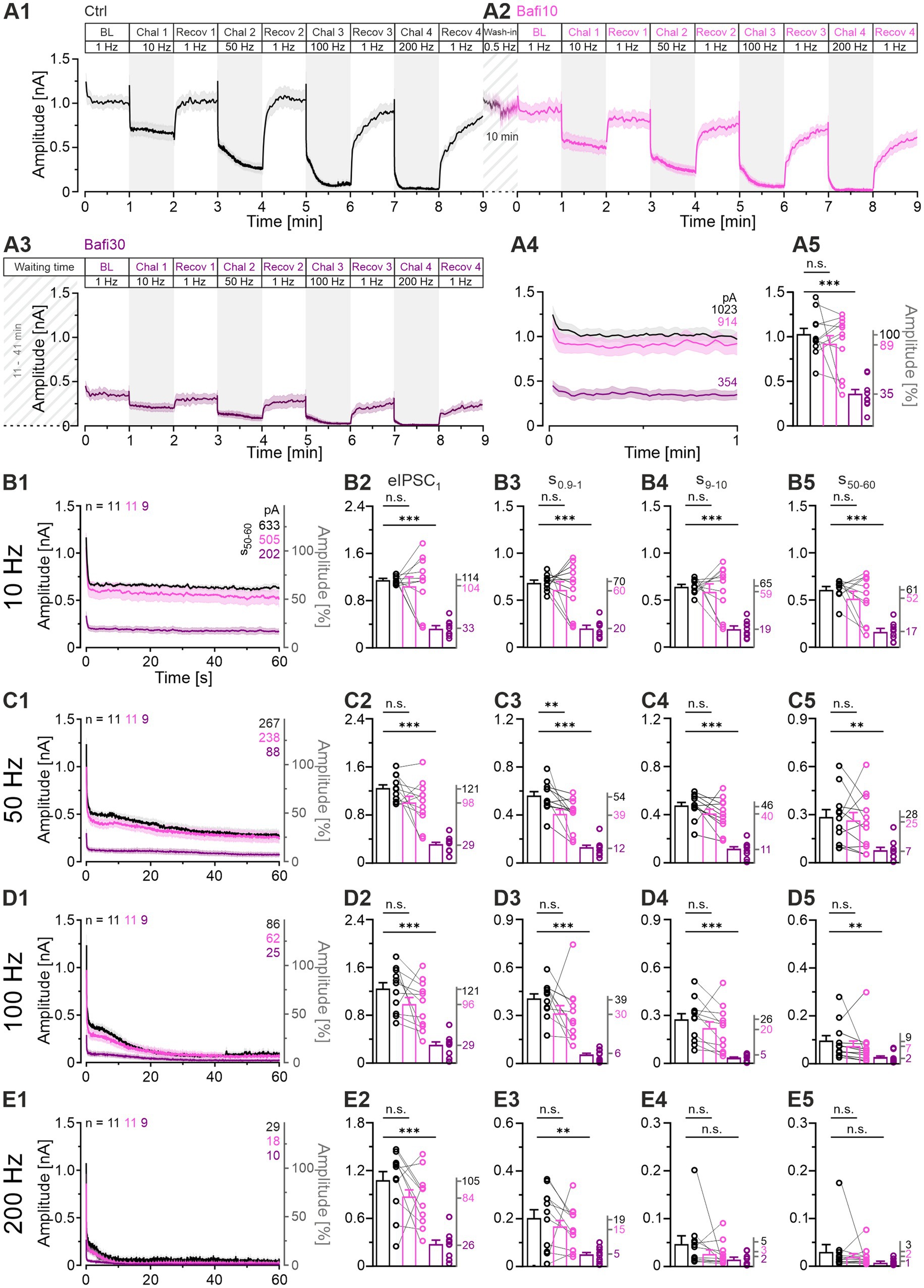 A composite image with multiple panels (A1-E5) depicting various graphs. Panels A1, A2, A3, A4 show time vs. amplitude line graphs with different conditions labeled as Ctrl, Bafi10, and Bafi30. Panels A5 display line and bar graphs indicating amplitude changes. Panels B1-E1 present amplitude vs. time graphs at different frequencies (10 Hz to 200 Hz). Panels B2-E5 contain bar graphs comparing amplitudes across different conditions. Pink and black lines or bars distinguish different conditions, with statistical significance noted by symbols like asterisks.