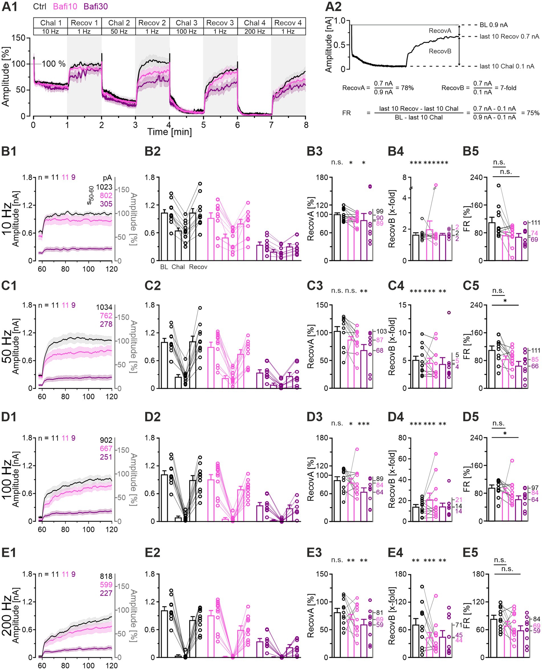 A composite image presenting line graphs and bar charts with various experimental conditions labeled as Ctrl, Bafi10, and Bafi30. Panels A1 and A2 illustrate amplitude changes over time with different frequency challenges, showing distinct patterns for each condition. Panels B1 to E5 include similar analyses at specific frequencies: 10 Hz, 50 Hz, 100 Hz, and 200 Hz. Each panel compares control and experimental conditions, highlighting differences in amplitude changes, recovery rates, and statistical significance, indicated by asterisks and