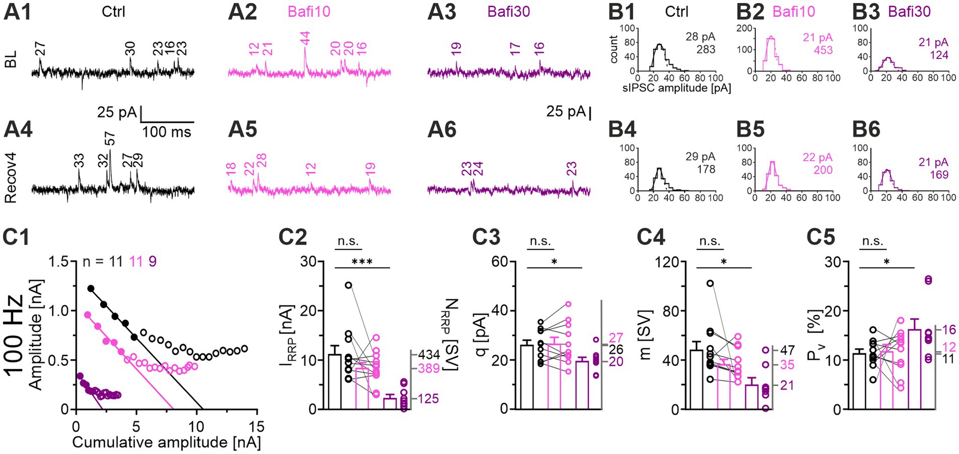 Graphs and traces compare control and treated conditions under various scenarios. Panels A1-A6 display electrophysiological traces for control, Bafi10, and Bafi30 conditions. Panels B1-B6 show histograms of sIPSC amplitudes, indicating mean values in pA. C1 is a plot of 100 Hz amplitude versus cumulative amplitude. Panels C2-C5 depict bar graphs for IRRP, q, m, and Pv, showing significant differences between conditions, marked by asterisks.
