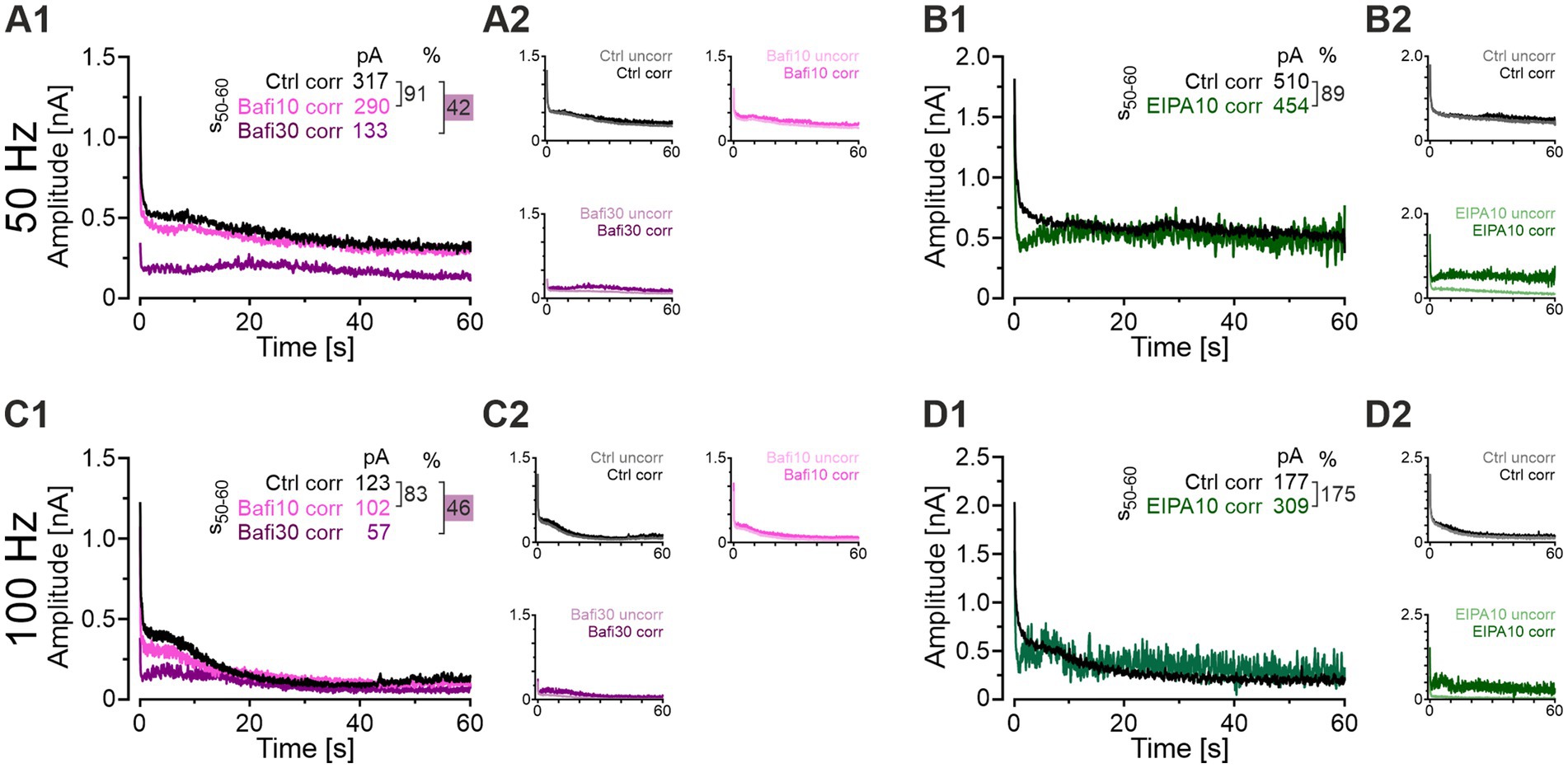 Graphs A1, B1, C1, and D1 depict amplitude (nA) versus time (seconds) for 50 Hz and 100 Hz frequencies with different conditions. A2, B2, C2, and D2 show comparisons of corrected and uncorrected control and treatment conditions in separate charts. Key data points include corrected values in pA and percentage changes. Each graph focuses on different conditions, using colors pink and green to distinguish between Bafi10, Bafi30, and EIPA10 conditions.