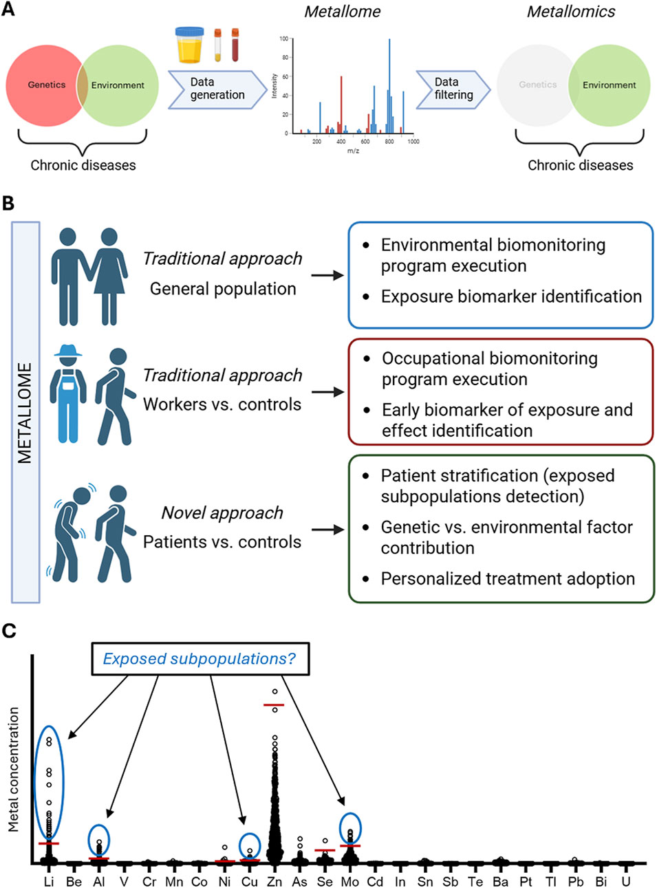 Diagram illustrating the role of metallomics in understanding chronic diseases. Section A shows the interaction of genetics and environment, leading to data generation and filtering of metallome data. Section B contrasts traditional approaches with a novel patient-based approach for biomonitoring and personalized treatment. Section C presents a graph of metal concentrations indicating exposed subpopulations, with peaks for specific metals like lithium and zinc highlighted.