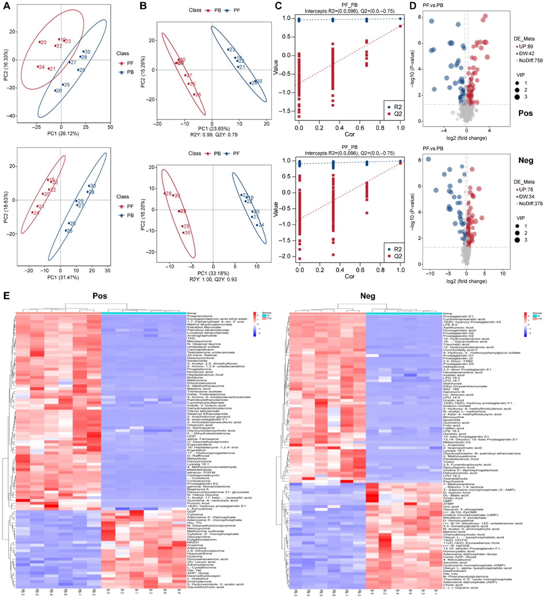 Principal Component Analysis (PCA) plots, heatmaps, and scatter plots analyzing differences between two classes, PF and PB. Panels A and B show PCA with different component combinations and confidence ellipses for each class. Panel C shows correlation plots with R-squared values and Panel D depicts volcano plots indicating fold changes and p-values, with differentially expressed metabolites highlighted. Panel E displays heatmaps for positive (Pos) and negative (Neg) modes, showing expression levels of various metabolites across samples in each class.