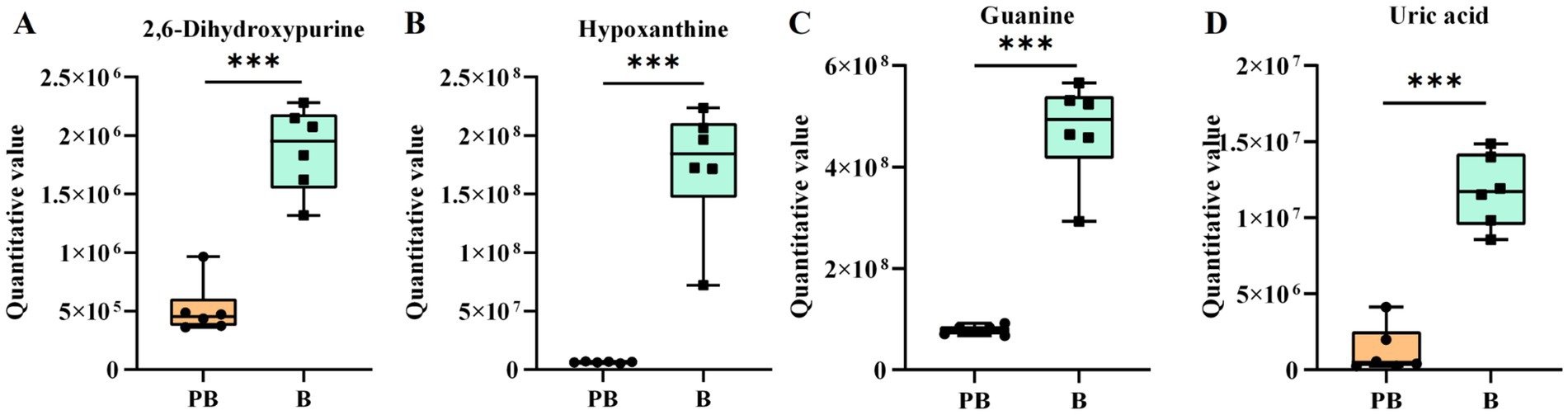 Box plots labeled A to D display quantitative values for four compounds: 2,6-Dihydroxypurine, Hypoxanthine, Guanine, and Uric acid. Each compound shows significantly higher levels in group B compared to group PB, indicated by triple asterisks.
