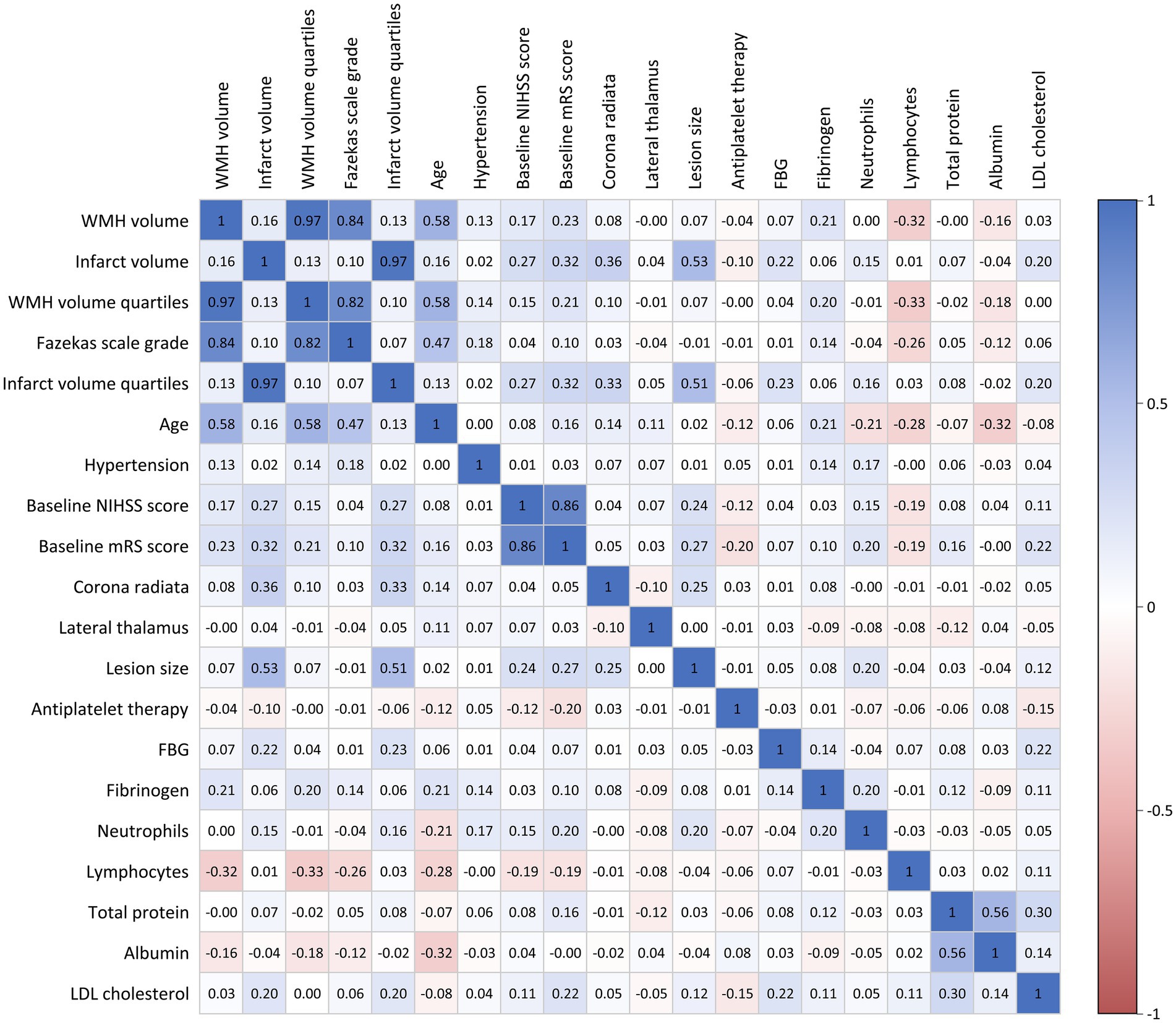 A correlation matrix heatmap displays relationships between various medical variables, such as WMH volume, infarct volume, age, HDL cholesterol, and others. The color gradient ranges from -1 (red) to 1 (blue), indicating the strength and direction of correlations. Diagonal elements show a value of one, representing variables' correlations with themselves.