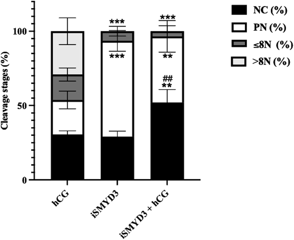 Bar graph showing cleavage stages as a percentage for three treatments: hCG, iSMYD3, and iSMYD3 + hCG. Each bar is divided into segments: NC, PN, ≤8N, and >8N. Statistical significance is indicated with asterisks and hash marks.