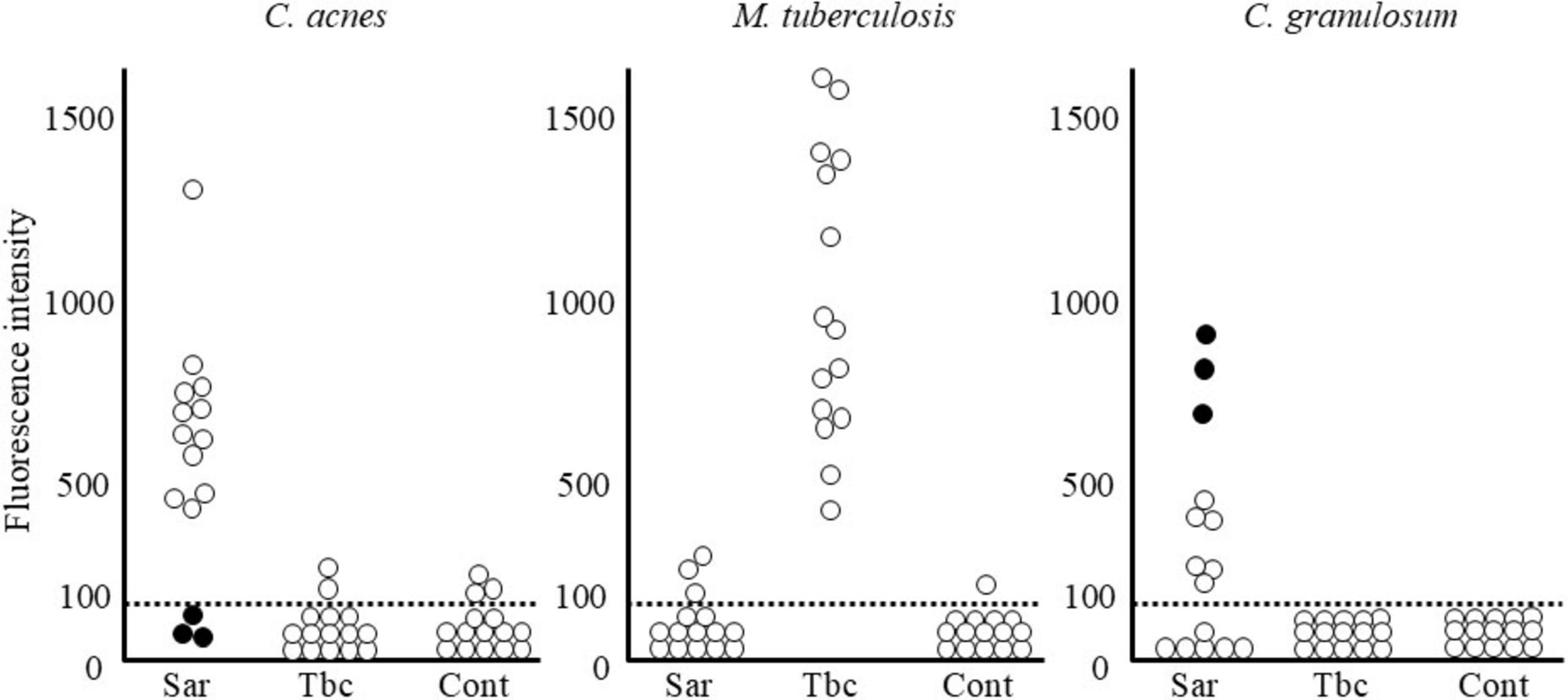 Dot plot graph comparing fluorescence intensity across three bacteria types: *C. acnes*, *M. tuberculosis*, and *C. granulosum*. Each bacteria type has three groups: Sar, Tbc, Cont. *C. acnes* and *M. tuberculosis* show higher variability, while *C. granulosum* is clustered around lower values. The intensity values range from 0 to 1500.