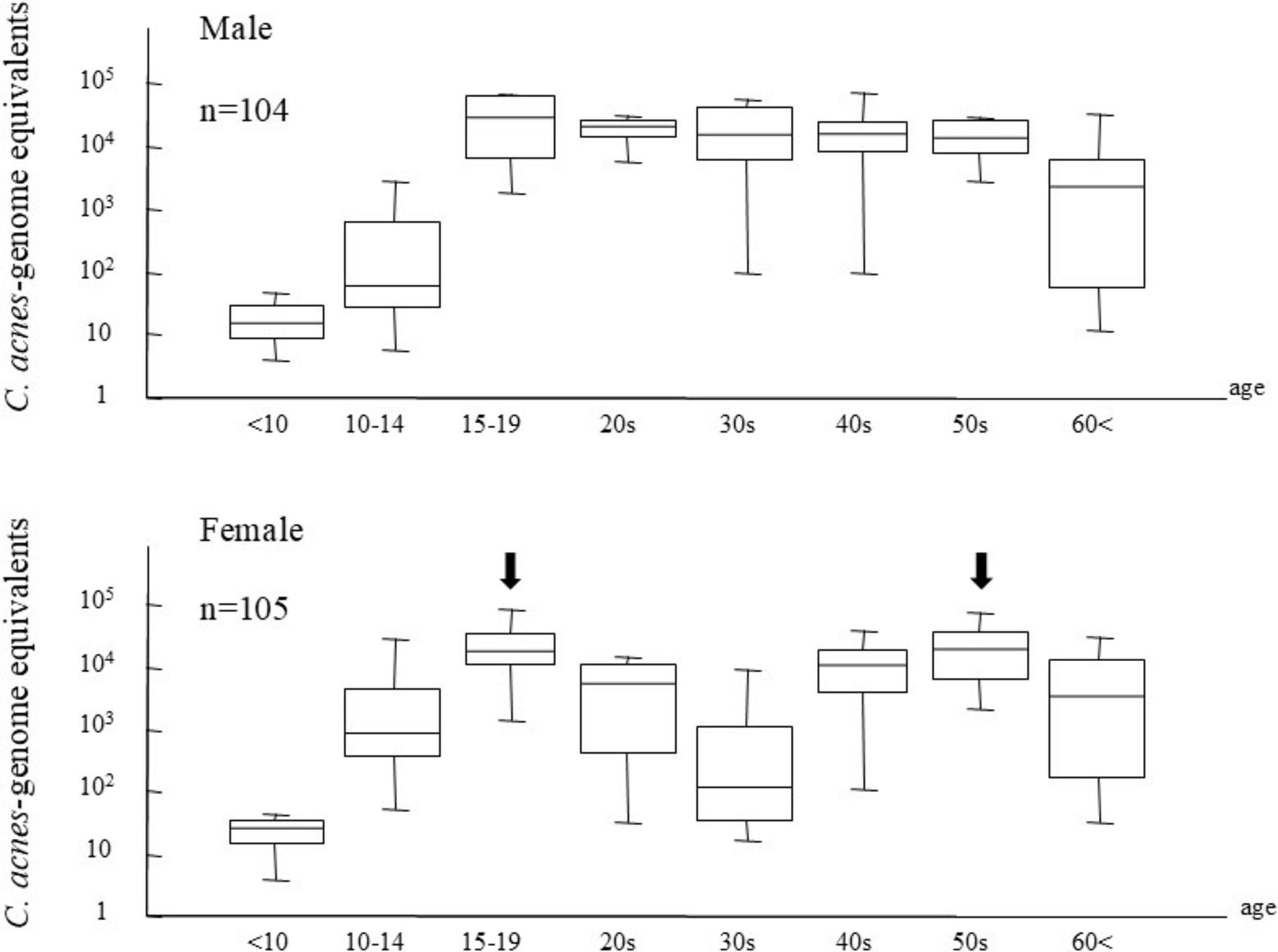 Box plots compare C. acnes genome equivalents across age groups for males (n=104) and females (n=105). Males show lower levels in early ages, peaking in the twenties, then stabilizing. Females display a similar trend, with peaks at 15-19 and 50-something age groups as indicated by arrows.