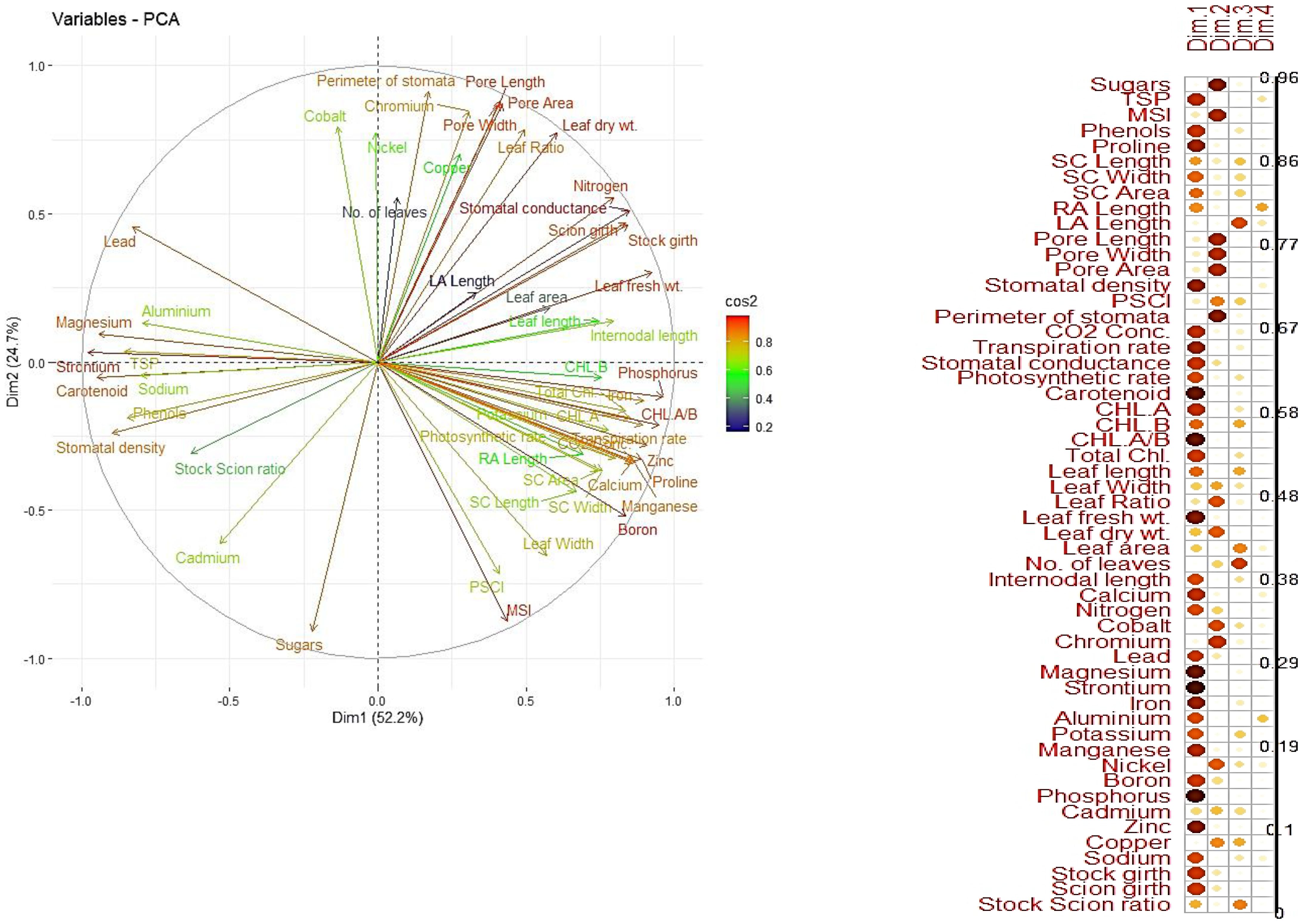 Principal Component Analysis (PCA) biplot shows variables on two dimensions: Dim1 (52.2%) and Dim2 (24.7%). Variables are represented by vectors in different colors indicating their contribution to the components. The right side features a cos2 color scale from red to green and a dot chart listing variables with corresponding values, indicating their significance and correlation.