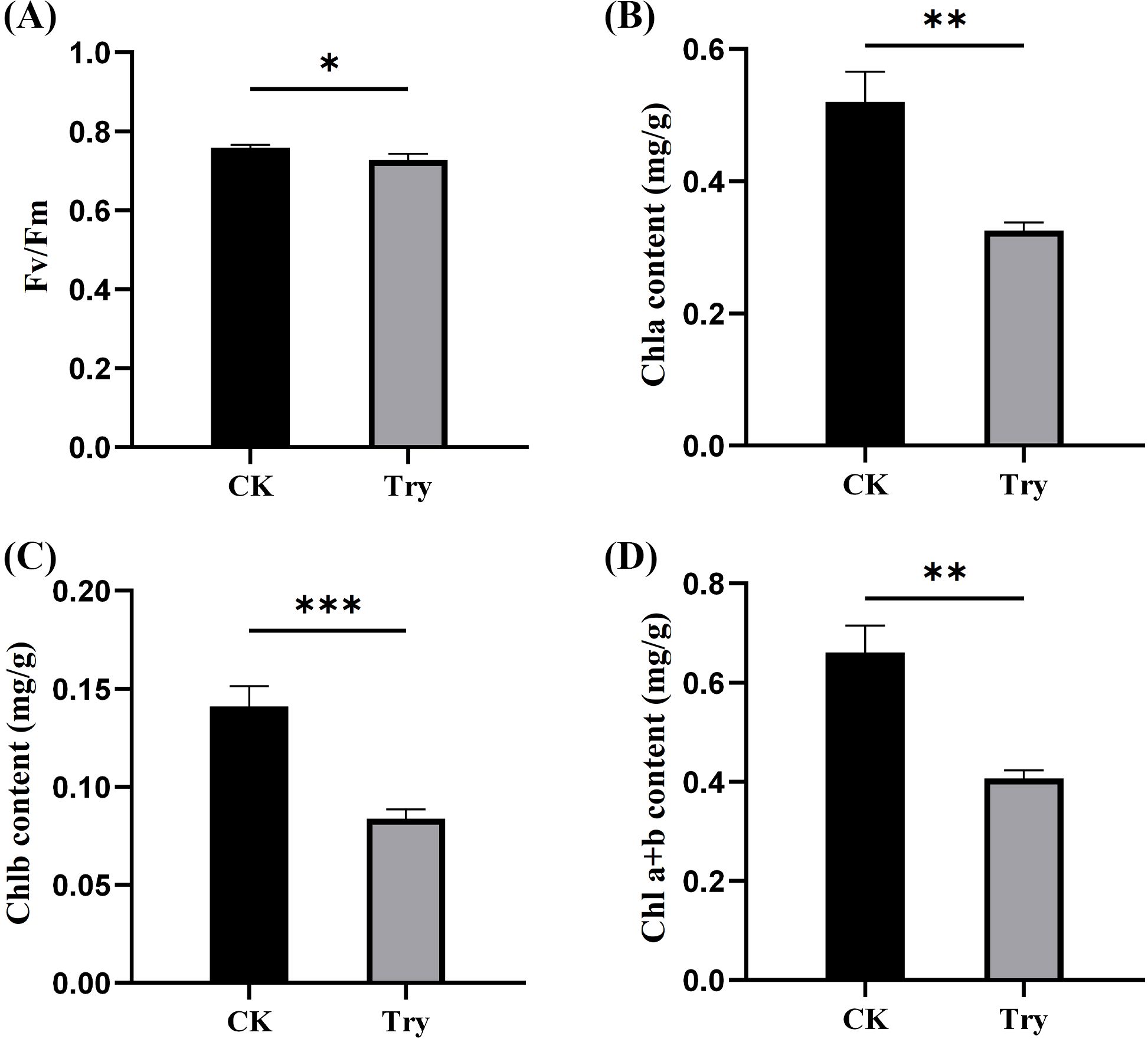 Bar charts labeled A to D compare measurements between two groups, CK and Try. (A) Shows Fv/Fm values, with CK higher than Try. (B) Displays Chla content, CK is greater. (C) Represents Chlb content, CK exceeds Try. (D) Shows total Chl a+b content, with CK higher. Asterisks indicate statistical significance: single, double, and triple asterisks denote increasing significance levels.