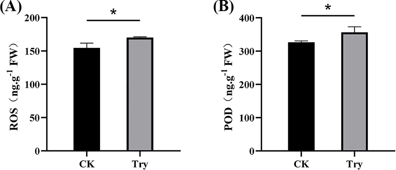 Two bar graphs compare CK and Try conditions. Graph A shows ROS levels (nanograms per gram fresh weight), with Try slightly higher than CK. Graph B displays POD levels, with Try significantly higher than CK. Both graphs indicate significant differences with an asterisk.
