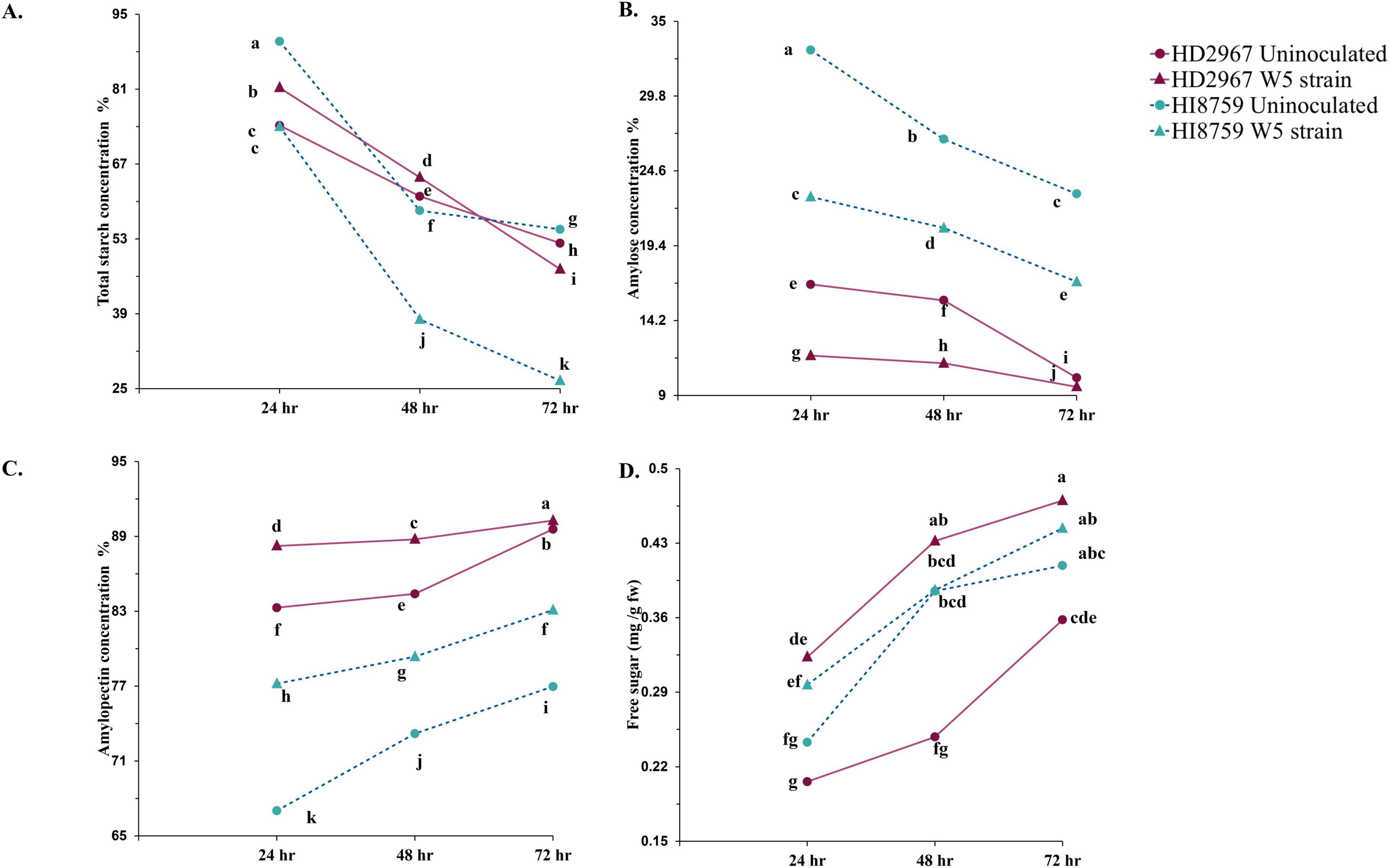 Four graphs labeled A to D show concentration changes over time in two wheat strains, HD2967 and HI8759, with and without W5 strain inoculation. Graph A shows total starch; Graph B shows amylose; Graph C shows amylopectin; Graph D shows free sugar. The graphs depict data points with trends, highlighting differences in concentration levels over 24, 48, and 72 hours.