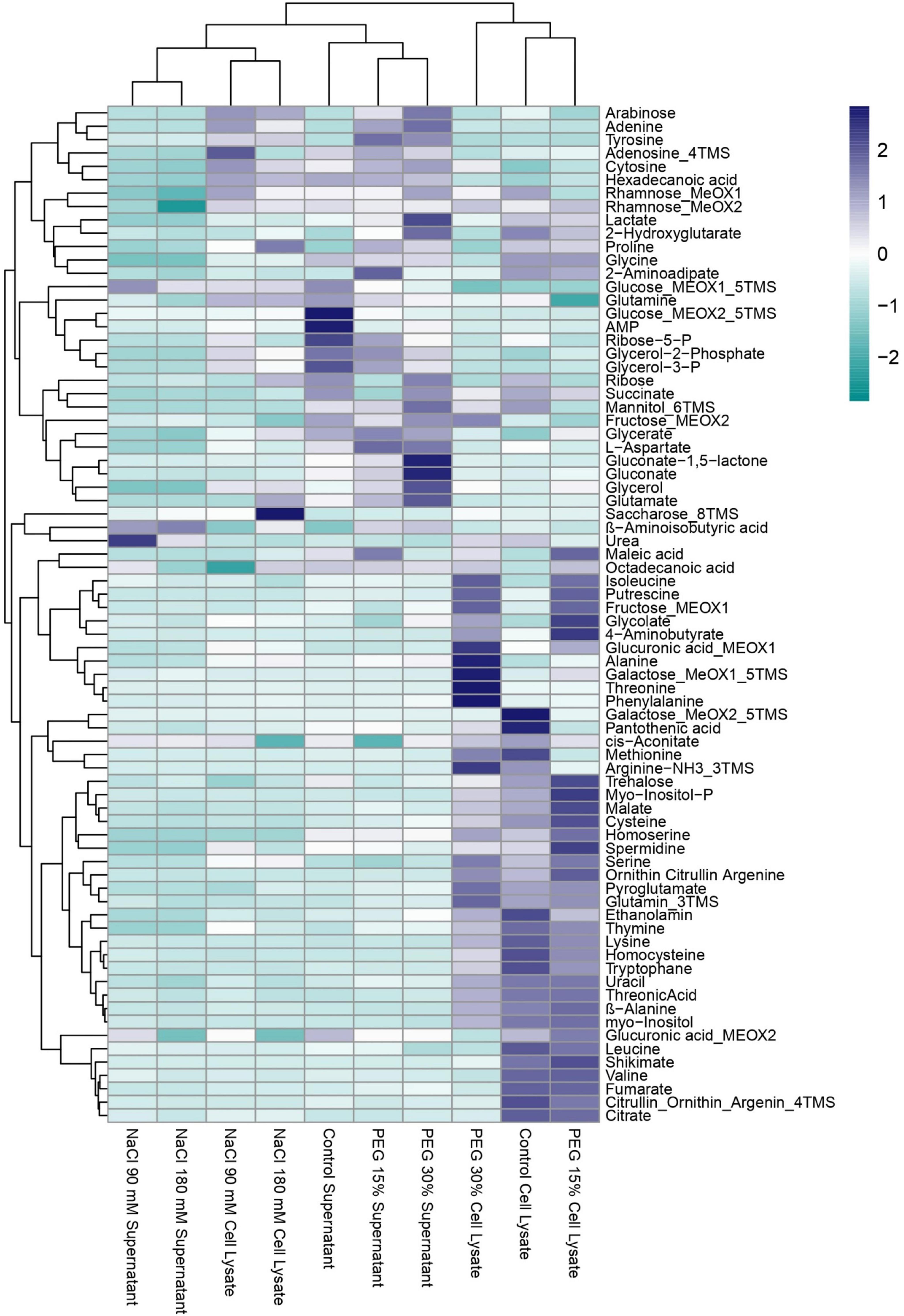 Heatmap displaying clustering of various metabolites across different conditions. The columns represent conditions like NaCl supernatant, cell lysate, and PEG concentrations, while the rows list metabolites such as arabinose, tyrosine, and various amino acids. Color gradient indicates metabolite level, ranging from dark blue (high) to light teal (low). A dendrogram on top groups conditions by similarity.