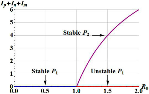 Graph showing a multicolored curve, indicating stability levels of \( I_p + I_n + I_m \) against \( R_0 \). Stable \( P_1 \) at \( R_0 = 0.5 \), unstable \( P_1 \) at \( R_0 = 1.4 \), and stable \( P_2 \) above \( R_0 = 1.5 \). Vertical axis ranges from 0 to 6.