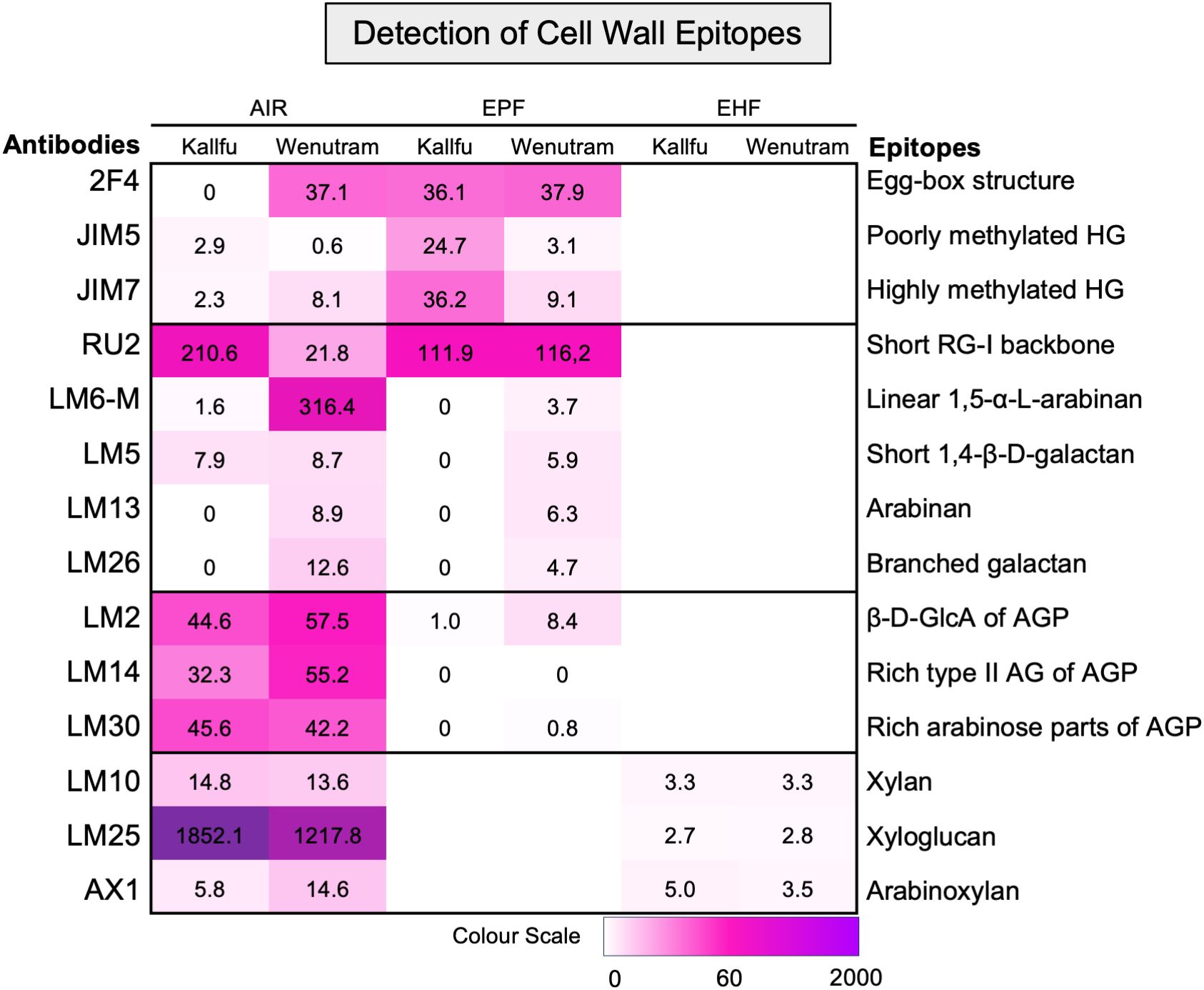 Matrix chart showing detection of cell wall epitopes with antibodies across different samples: Kallfu and Wenumtram under AIR, EPF, and EHF conditions. Color scale indicates epitope presence with intensities ranging from 0 to 2000. On the right, epitopes such as egg-box structure, poorly methylated HG, and others are listed. High values in magenta, low values in light pink.