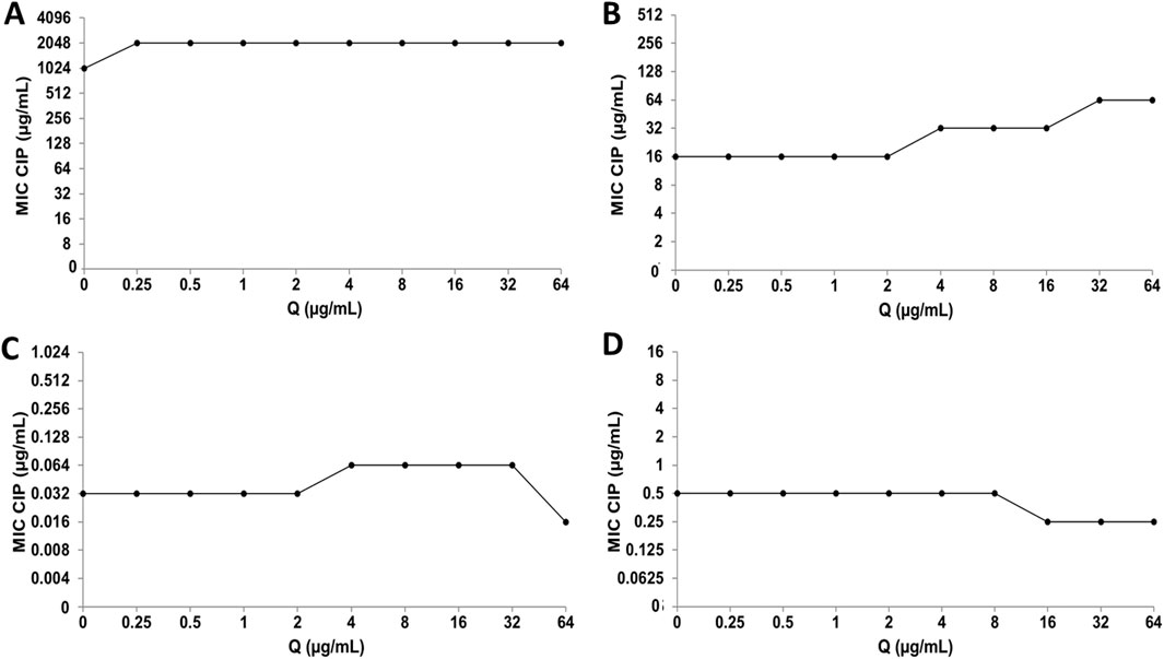 Line graphs labeled A to D show the Minimum Inhibitory Concentration (MIC) of ciprofloxacin (CIP) in micrograms per milliliter versus concentration of Q. Graph A depicts a high plateau. Graph B shows a gradual increase. Graph C illustrates a stable concentration at a low level, with a slight decline. Graph D indicates a constant level.
