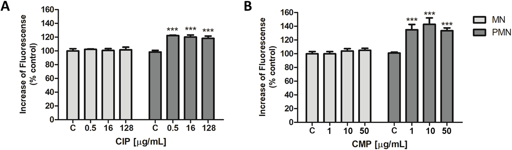 Bar graphs labeled A and B show the increase in fluorescence as a percentage of control for CIP and CMP at various concentrations (CIP 0.5, 16, and 128 µg/mL and CMP 1, 10, and 50 µg/mL). Bars represent MN and PMN. Significant increases are marked with asterisks for PMN in both graphs at the higher concentrations.