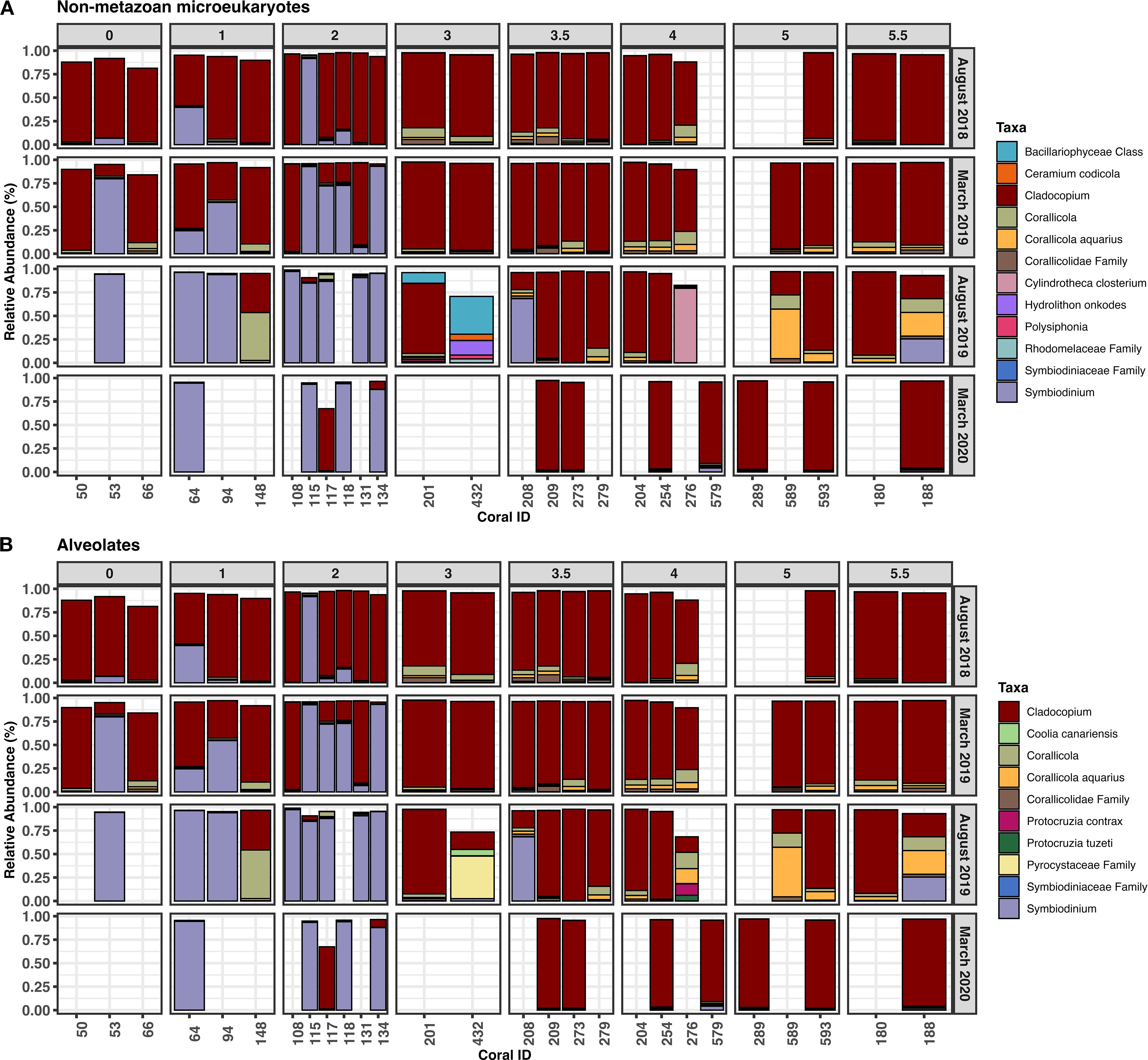 Bar charts display the relative abundance of various taxa in non-metazoan microeukaryotes and alveolates across coral IDs over time from August 2018 to March 2020. Different colors represent specific taxa, such as Ceramium codicola and Symbiodinium. Relative abundance values range from zero to one, with each chart labeled by coral ID. The legend identifies taxa by color.