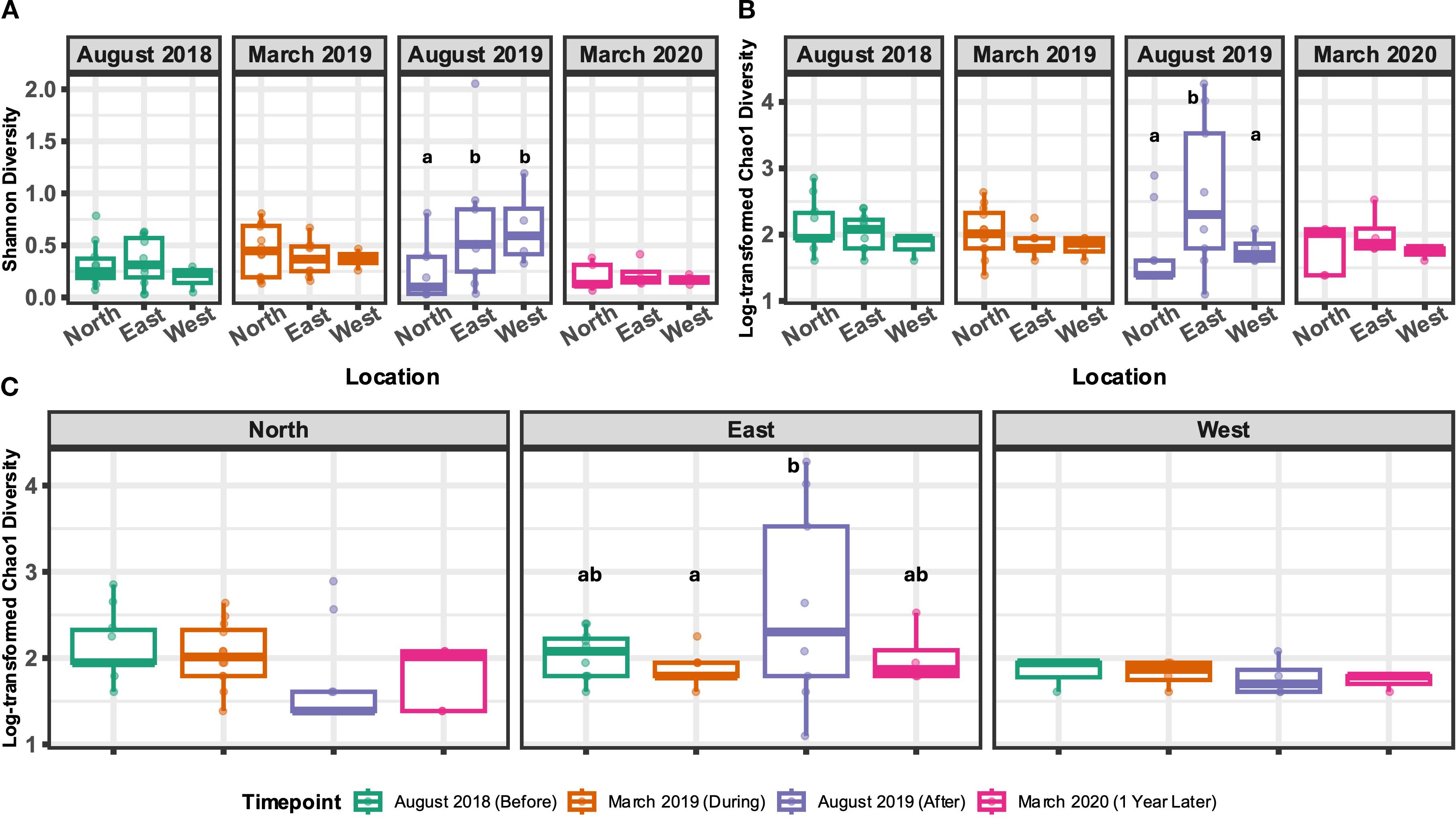 Box plots of diversity indices from August 2018 to March 2020 across North, East, and West locations. Panel A shows Shannon diversity; Panel B shows log-transformed Chao1 diversity. Color-coded timepoints highlight changes over time. Notable variations in diversity are observed, especially in August 2019.