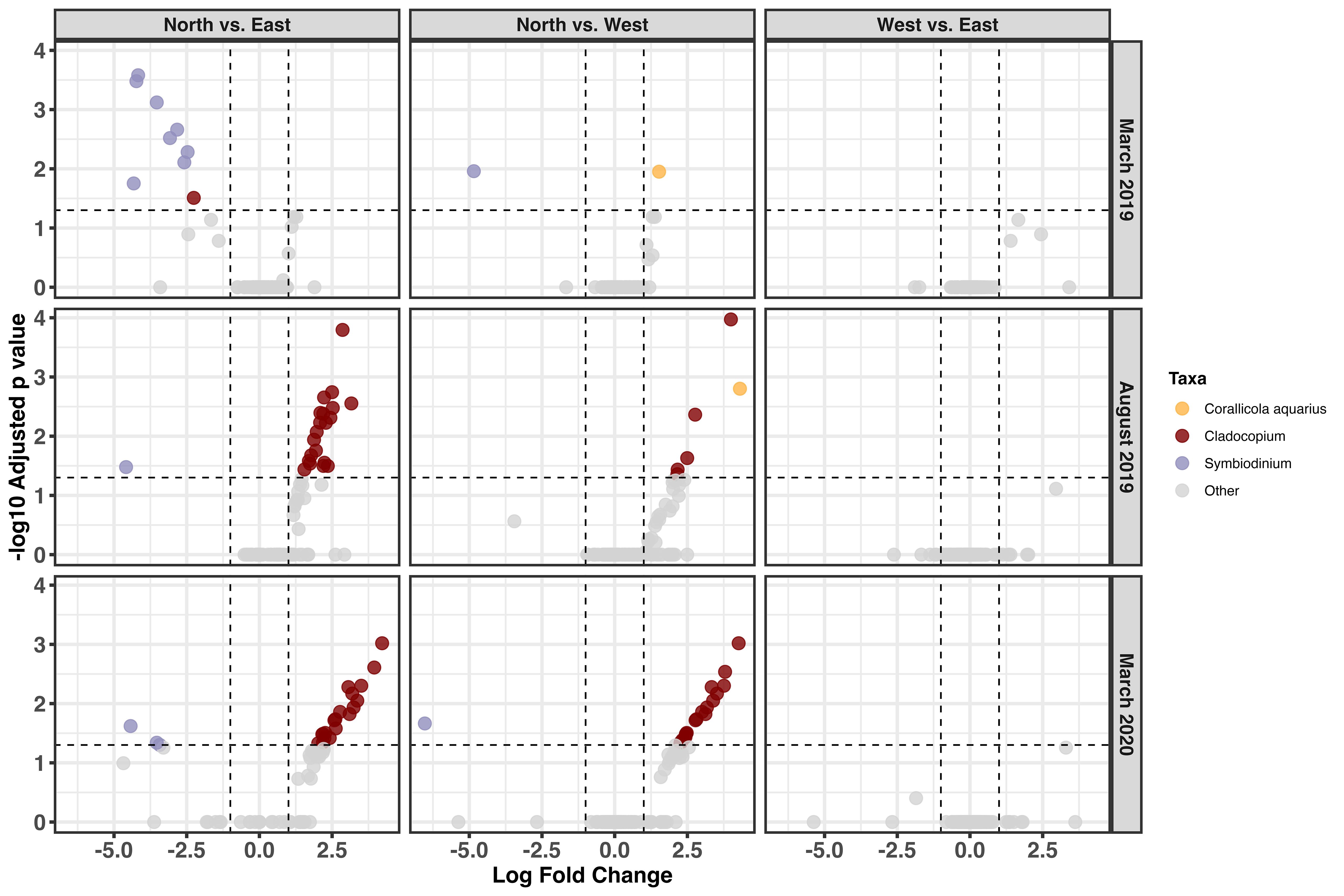 Three rows and three columns of scatter plots compare “North vs. East,” “North vs. West,” and “West vs. East” across March 2019, August 2019, and March 2020. Axes show log fold change and negative log10 adjusted p values. Data points are colored by taxa: Coralllicola aquarius (orange), Cladocopium (red), Symbiodinium (purple), and other (gray).