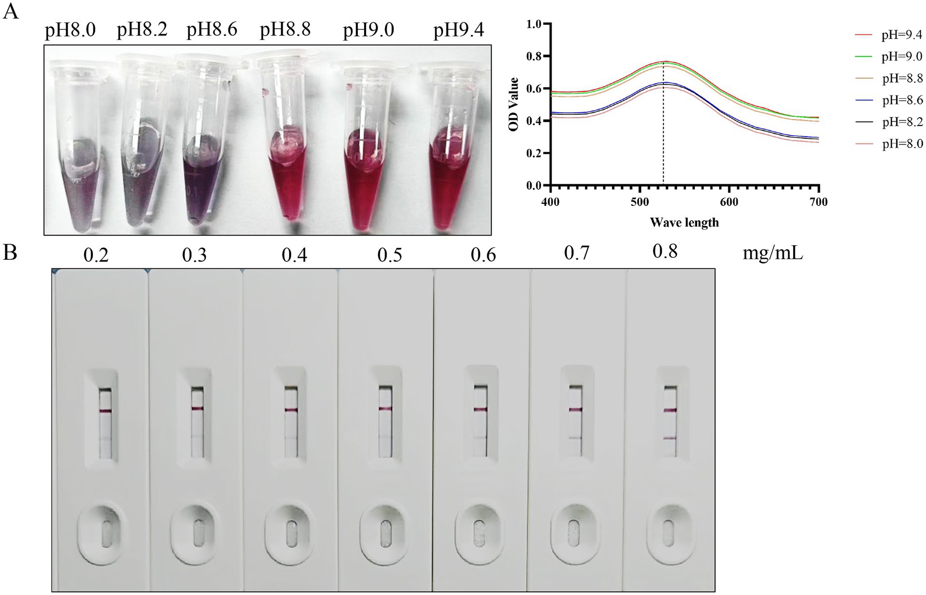 Panel A shows test tubes with solutions at pH values from 8.0 to 9.4, changing from purple to pink. Accompanying graph shows corresponding absorption spectra. Panel B displays lateral flow test strips with concentrations from 0.2 to 0.8 milligrams per milliliter, with visible lines indicating results.