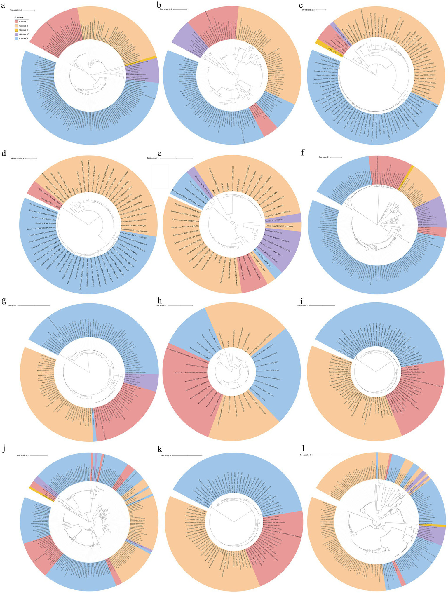 Twelve circular phylogenetic trees labeled a to l, with distinct color-coded clusters. Each circle displays branches representing different species or groups, with clusters in red, orange, blue, purple, and yellow, corresponding to a legend on the top left. Each tree has a central circular pattern with radiating labels indicating specific group names or taxa.