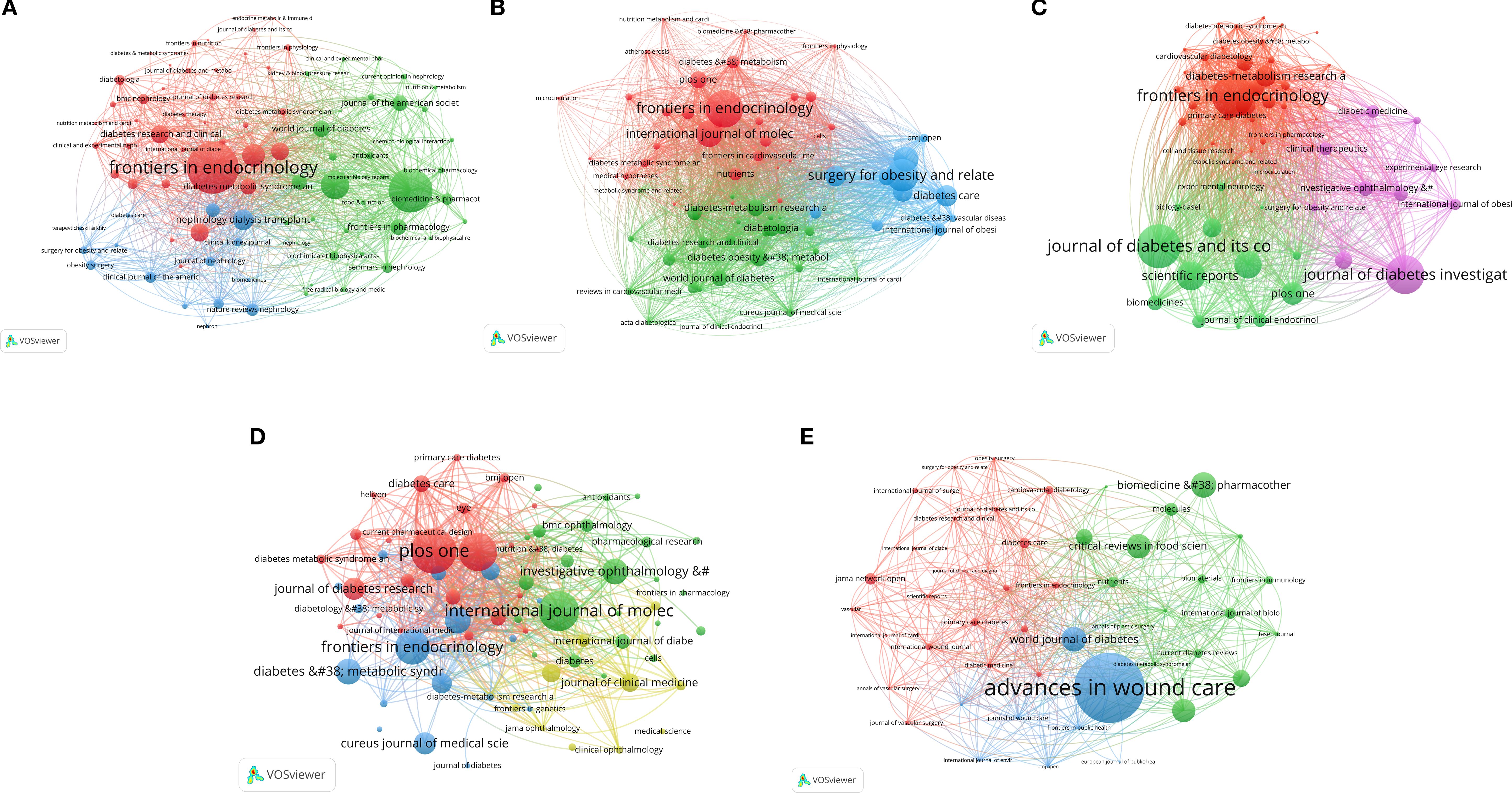 Network visualization maps show clusters of journal publications linked by co-citation relationships. Each map, labeled A to E, displays interconnected nodes representing journals in fields like endocrinology and diabetes research. Distinct colors indicate different clusters, highlighting prominent journals like “Frontiers in Endocrinology” and “Advances in Wound Care.” The maps illustrate the collaborative nature and interconnectedness of research within these domains.