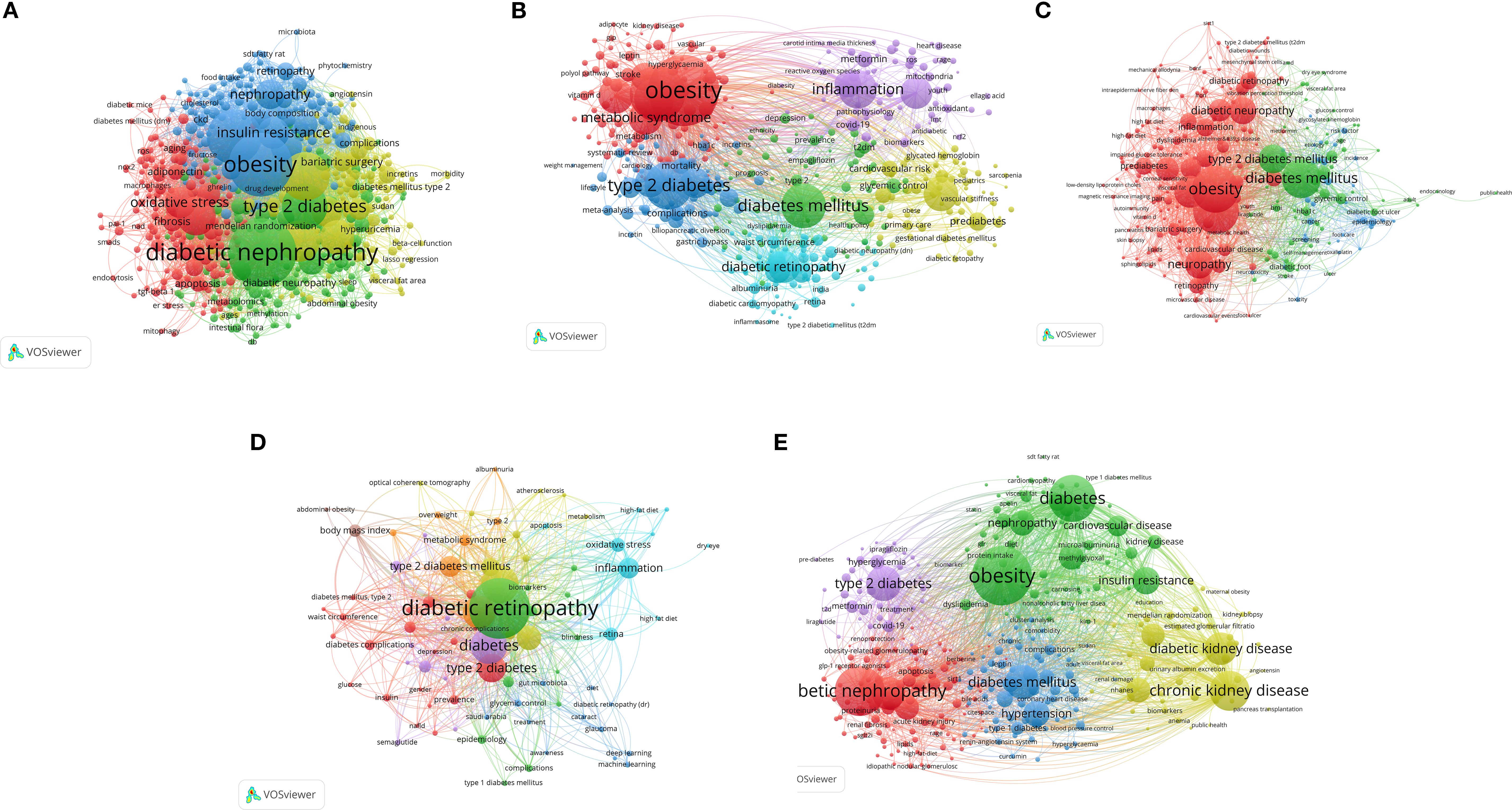 This figure presents five network visualizations (A-E) created with VOSviewer, depicting relationships among medical terms related to diabetes and obesity. Each panel displays color-coded clusters of interconnected terms,where node size indicates frequency or relevance. Panel A features clusters for diabetic nephropathy/oxidative stress (red), obesity/insulin resistance (blue),and type 2 diabetes (green).Panel B highlights distinct clusters for obesity/metabolic syndrome (red), type 2 diabetes (blue),and inflammation (purple).Panel C focuses on the interplay between obesity/diabetic neuropathy (red) and diabetes mellitus (green). Panel D is centered on diabetic retinopathy (green) linked to type 2 diabetes (red). Lastly, Panel E displays major clusters for chronic kidney disease (yellow), obesity/insulin resistance (green), and diabetic nephropathy (red).