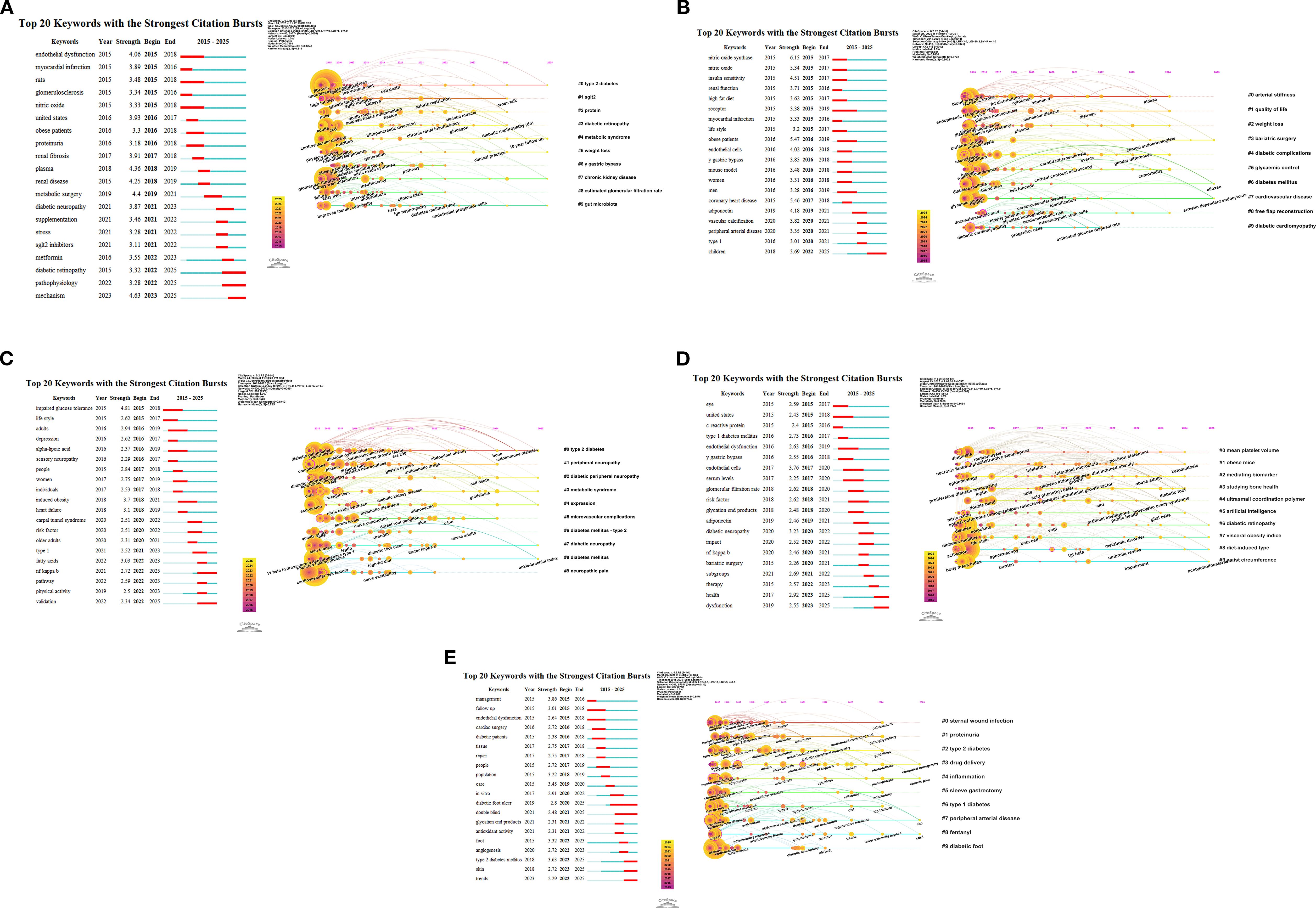 Five graphs labeled A to E display the top 20 keywords with the strongest citation bursts in academic literature from 2015 to 2025. Each graph includes a list of keywords, their burst strengths, the year they began, and the duration of the burst. To the right of each list is a visualization mapping the relationships and changes in citation patterns over time. A color scale indicates the burst strength, with red showing the highest levels. Each graph shows different keyword sets and citation connections.